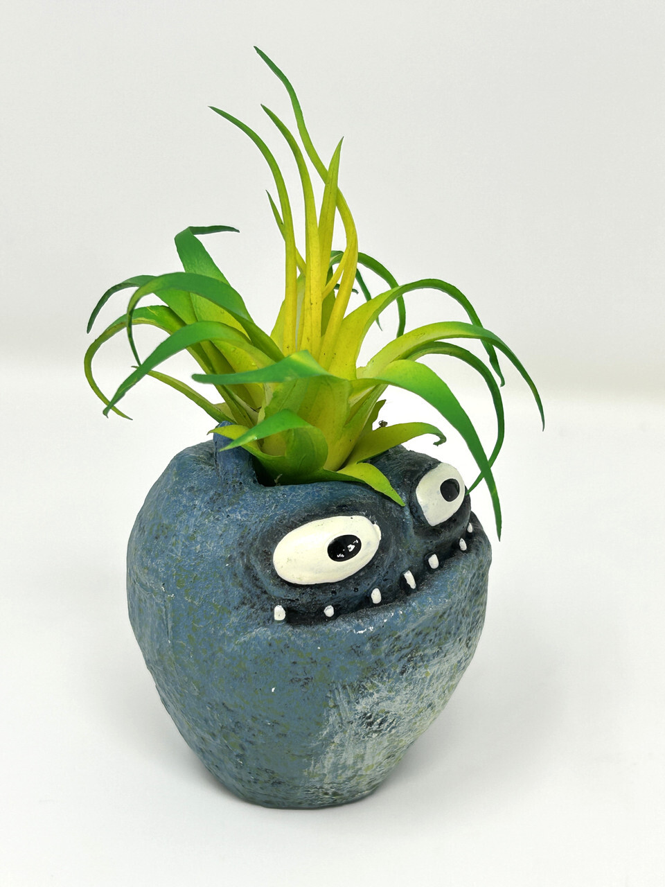 4.5 in. Potted Blue Monster MURPHY Blob House Mini pot WITH faux Harrisii Air pl