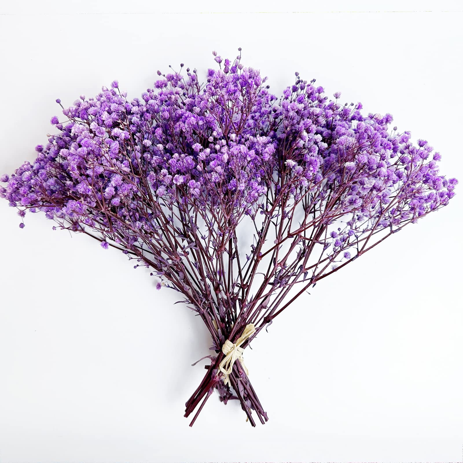 Preserved Baby’s Breath 3 Bunches, 100% Natrual Fresh Gypsophila Long Lasting…