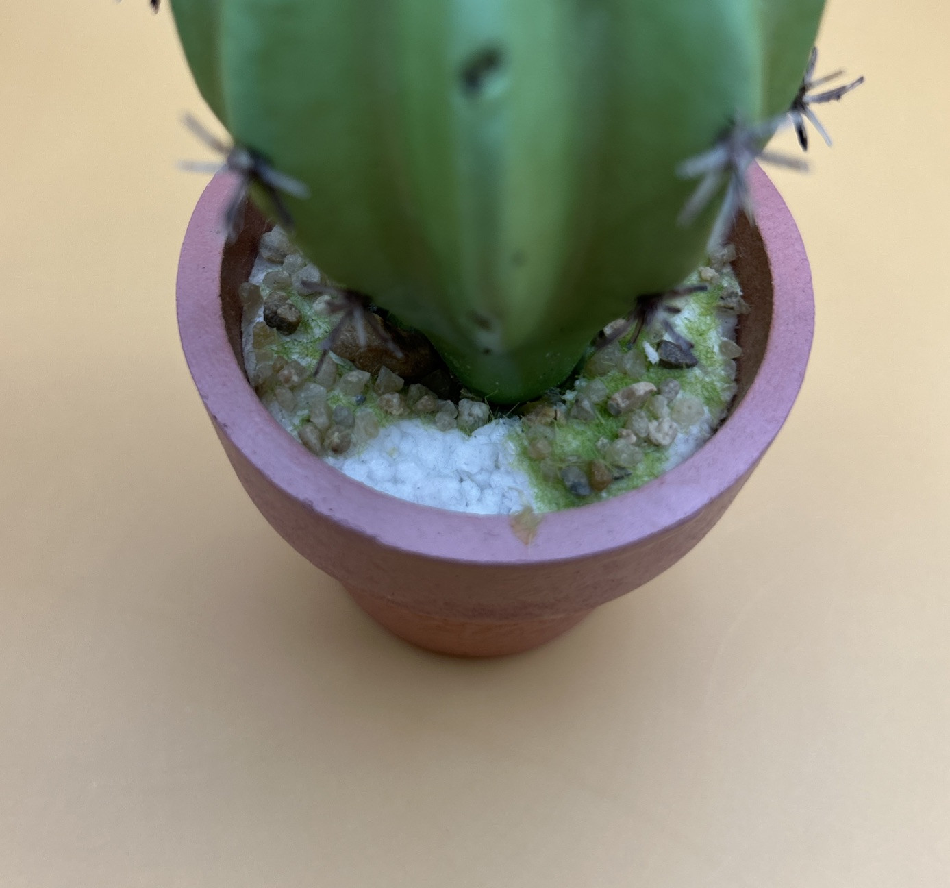 5- Artificial Cactus/ Succulent Plants 5”Tall, Terra Cotta Pots. Realistic