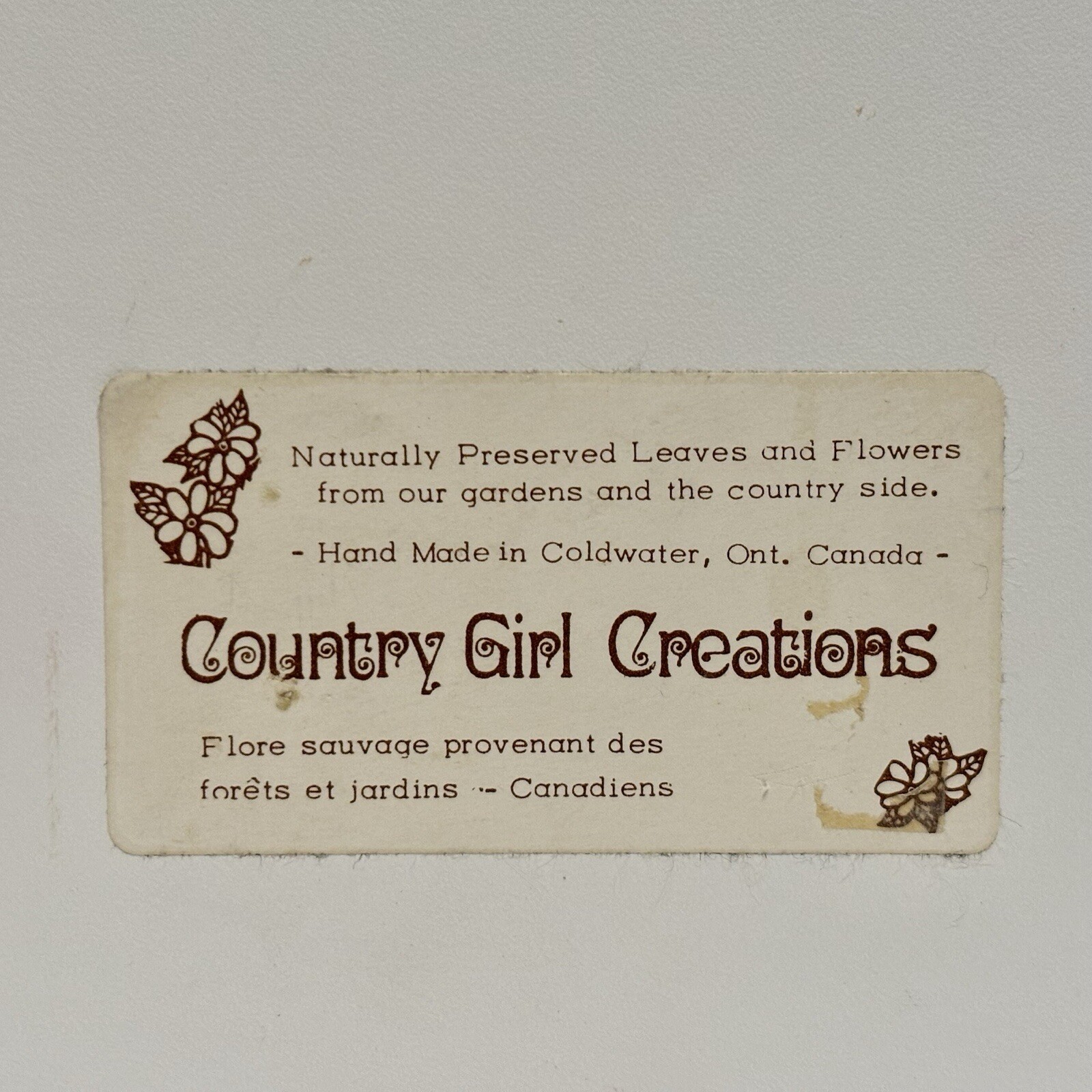Country Girl Creations Naturally Preserved Flowers Leaves Wall Art Canada 6.5″