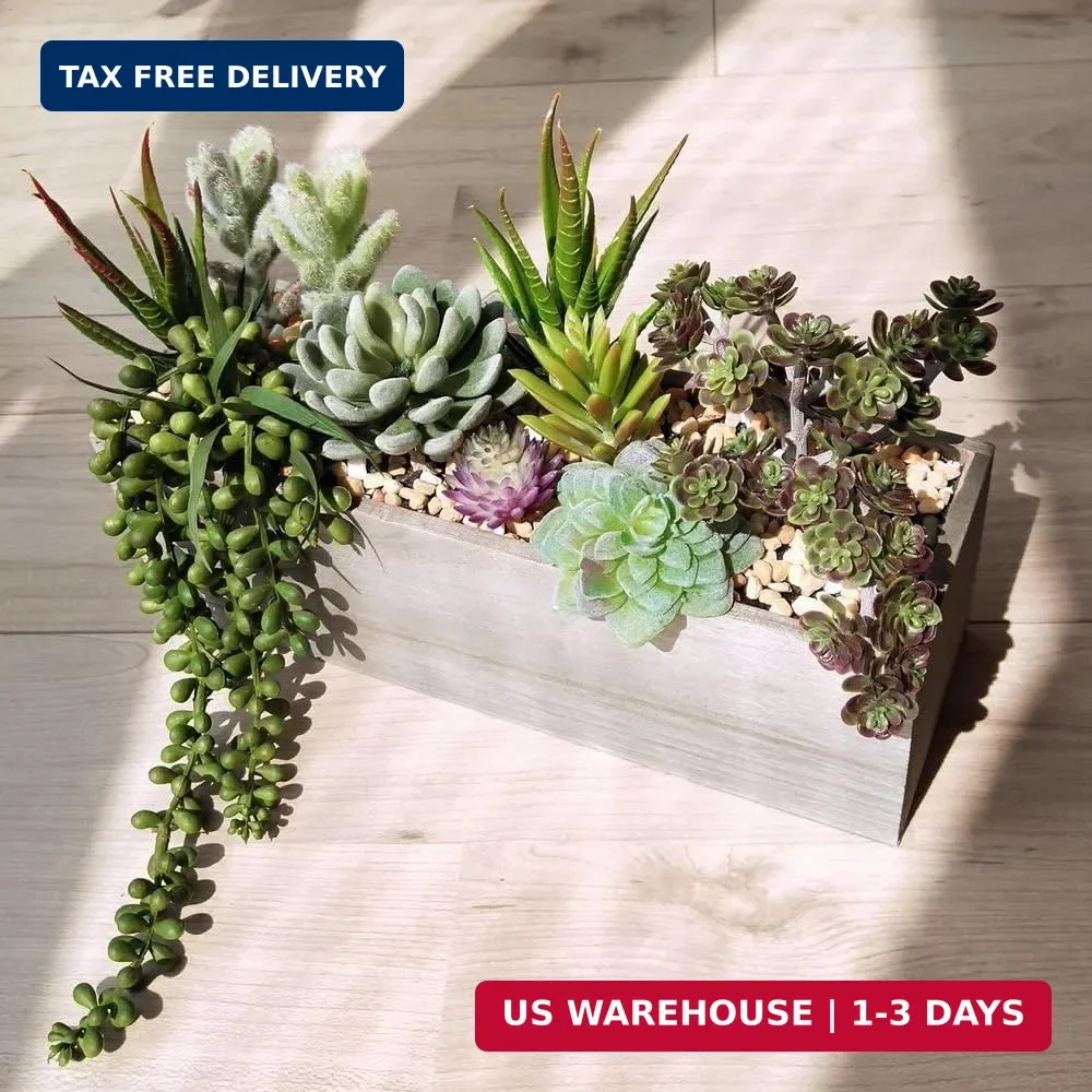 Supla Artificial Potted Succulents Plants Arrangement Fake Succulent Plants in R