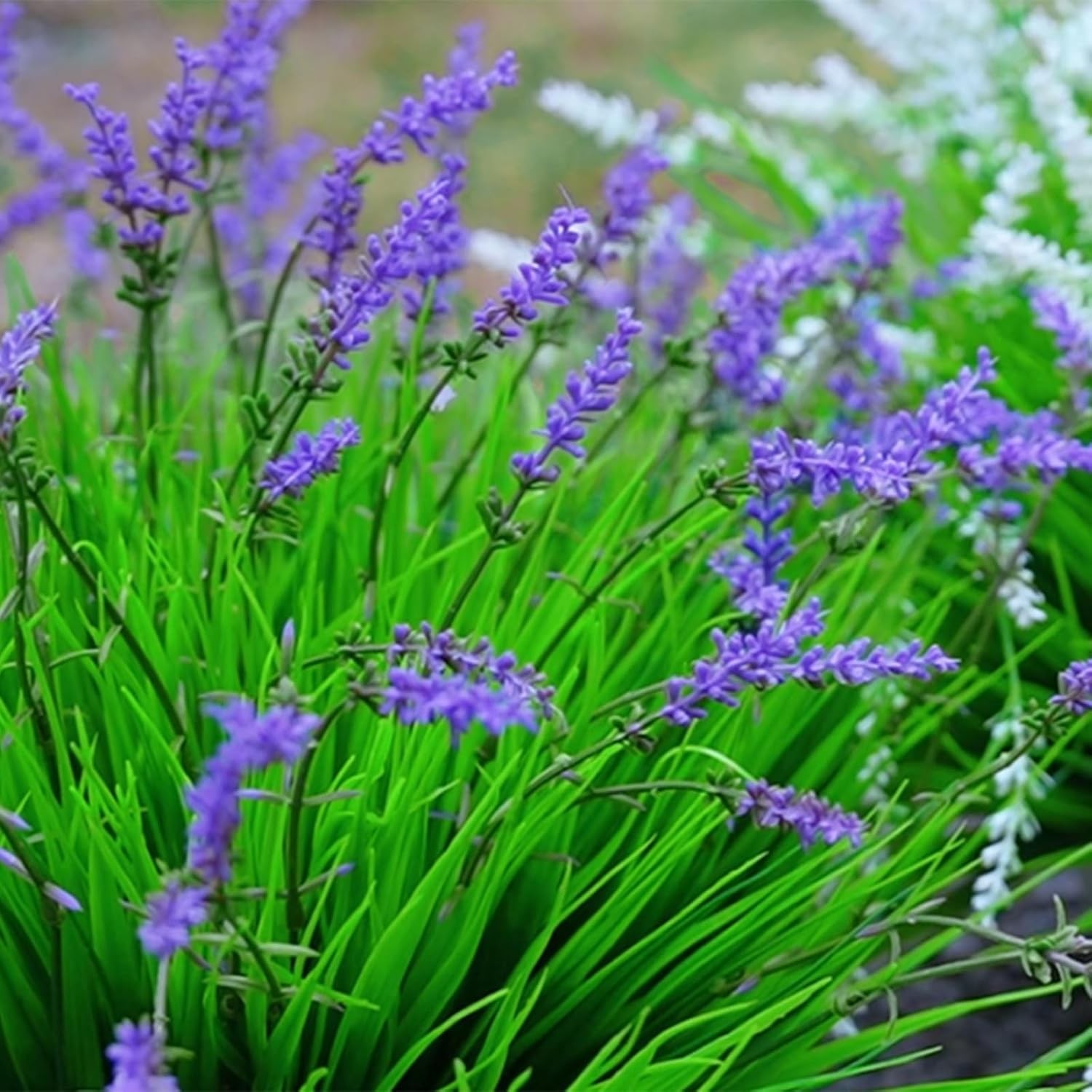 12 Bundles UV Faux Monkey Grass with Flowers, Outdoor Planter Decor US