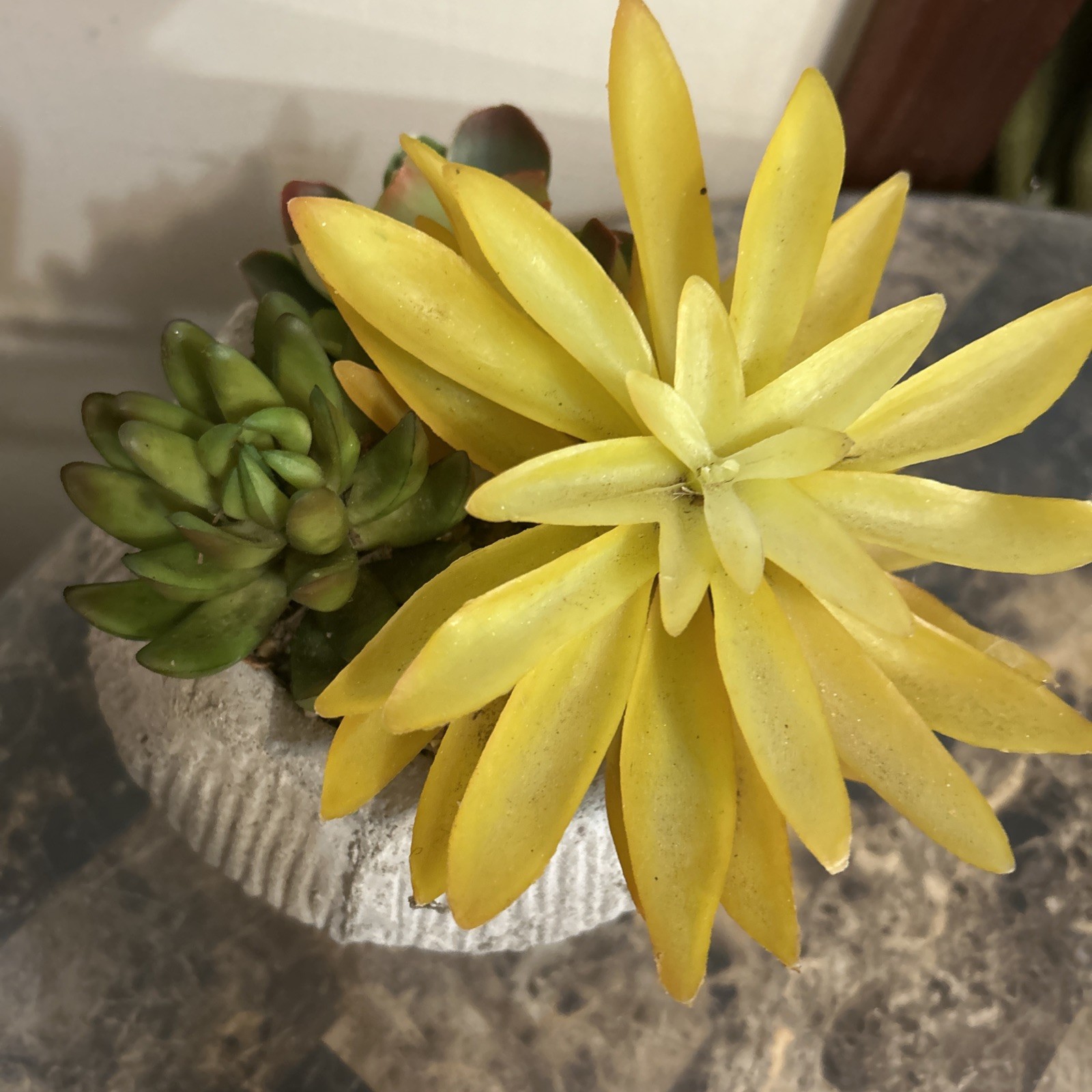 3 Pcs Faux Succulent Artificial Plant Plastic in Heavy Pot 8″H x 7″W 5A