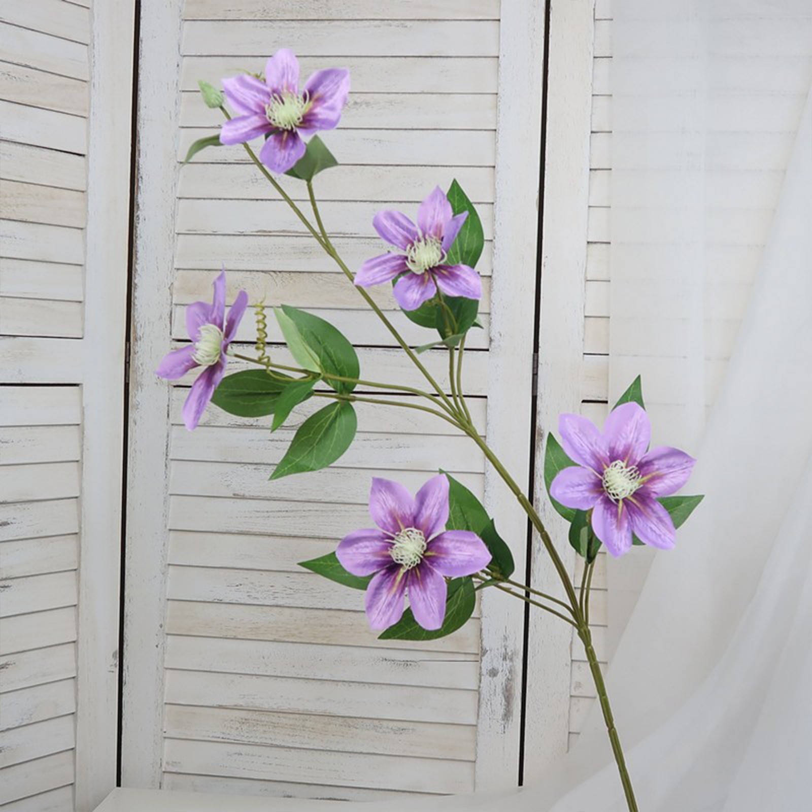 New European-style 5-headed Clematis – Deep Purple 85cm Tall Per Stem HOT