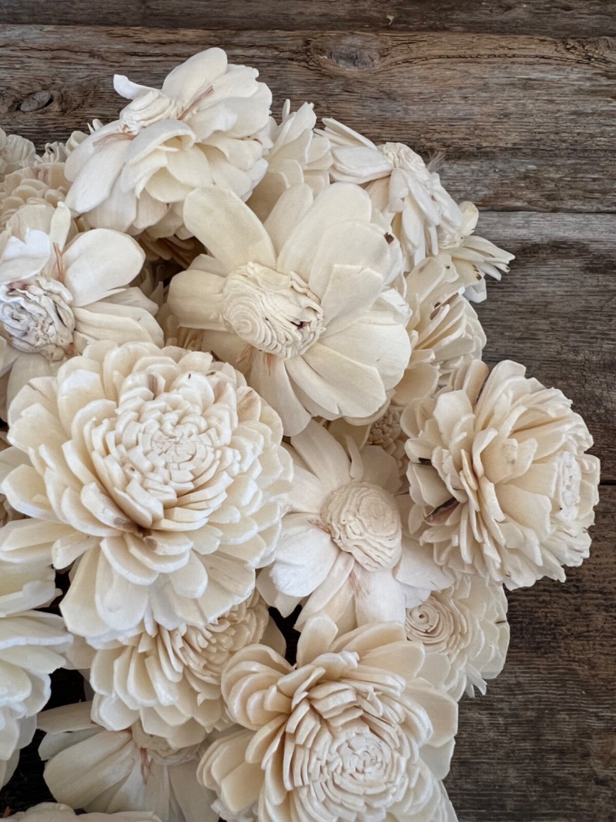 Ivory Belly Sola Wood Flowers – Set of 100 – Craft Flowers