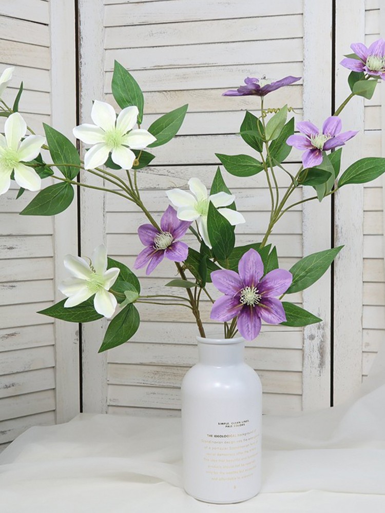 New European-style 5-headed Clematis – Deep Purple 85cm Tall Per Stem HOT