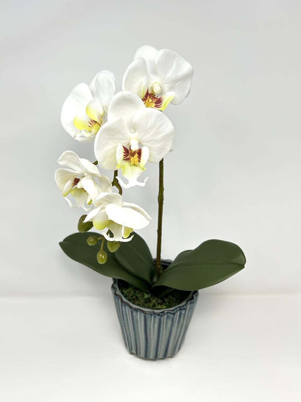 16″ Lg WHITE Phalaenopsis ORCHID silk flower planter, 4″ Blue ceramic footed pot