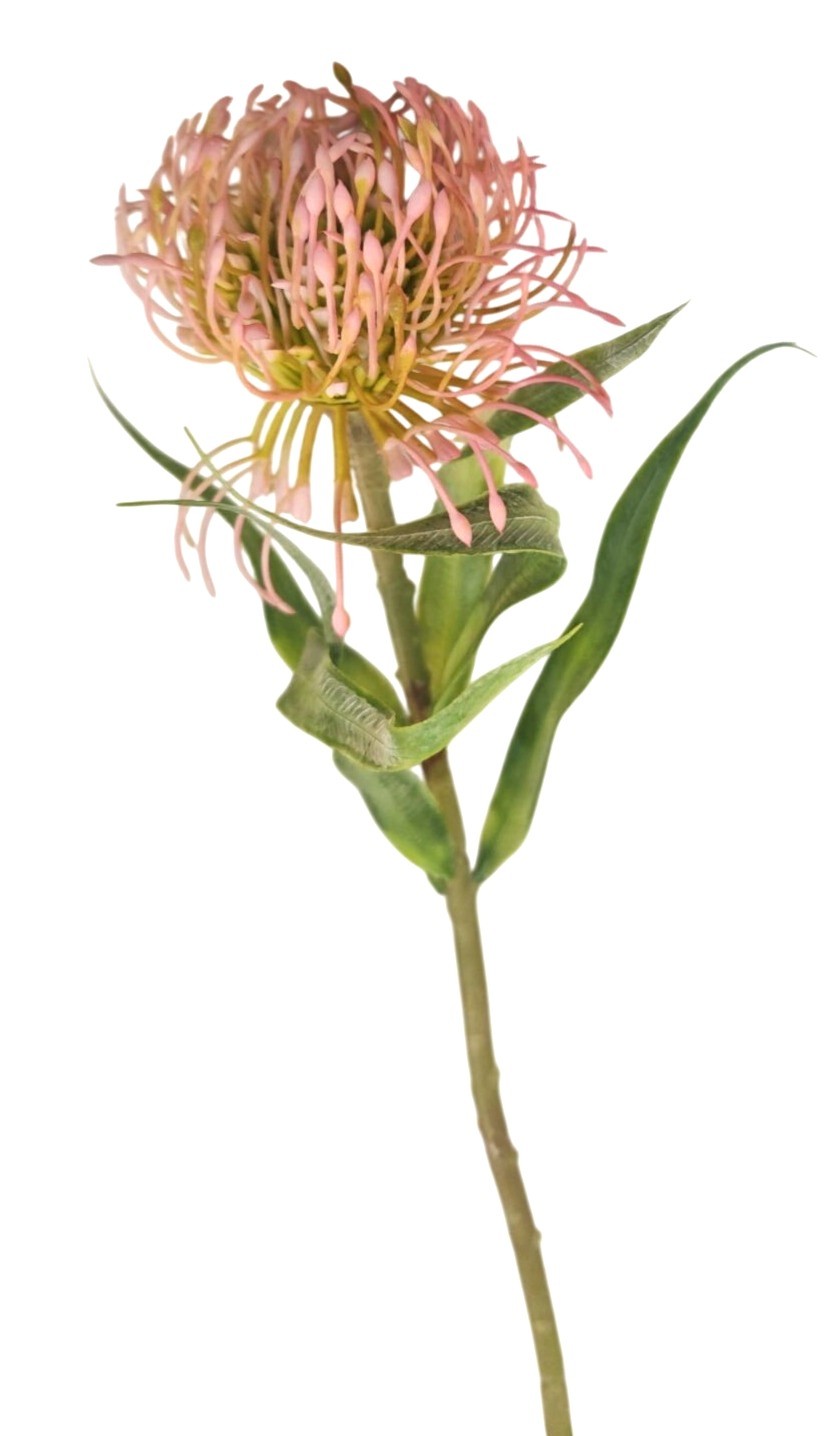 Pink Blush Pincushion Protea Stem Faux Protea Flower Artificial Floral Decor