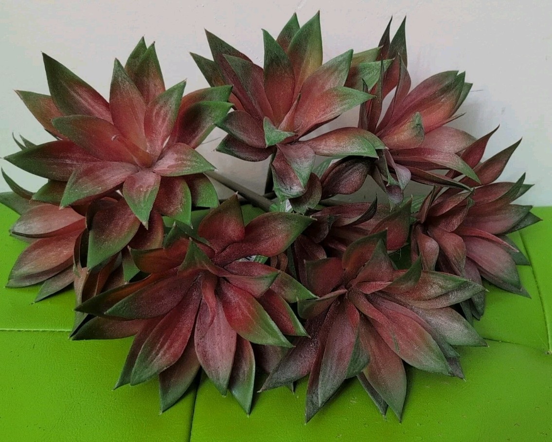 Artificial OrangeIsh Green Succulent Pick 7″X 4″ (8)