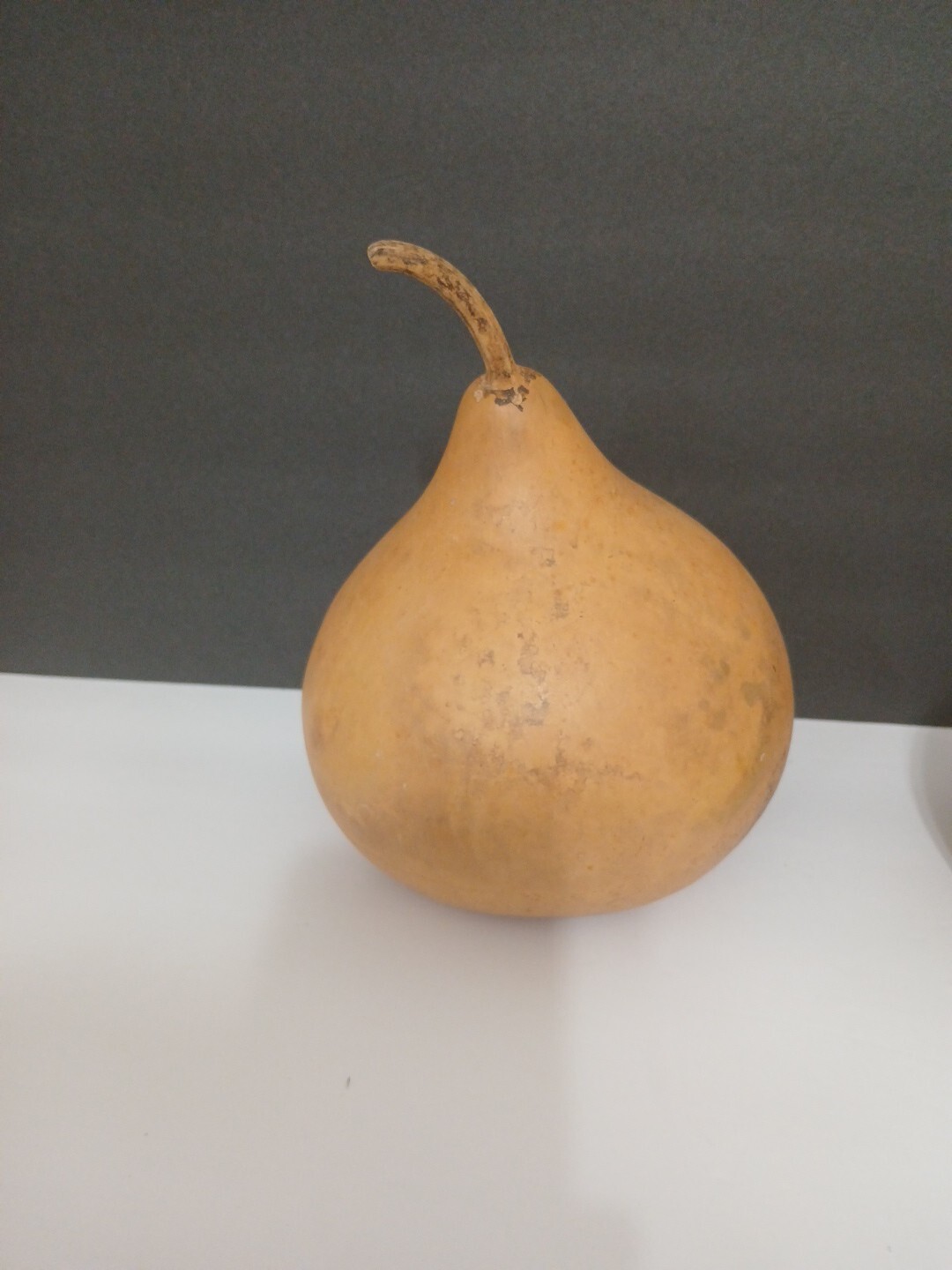 Organic Natural Calabash With Seeds Decorative Pieces 2