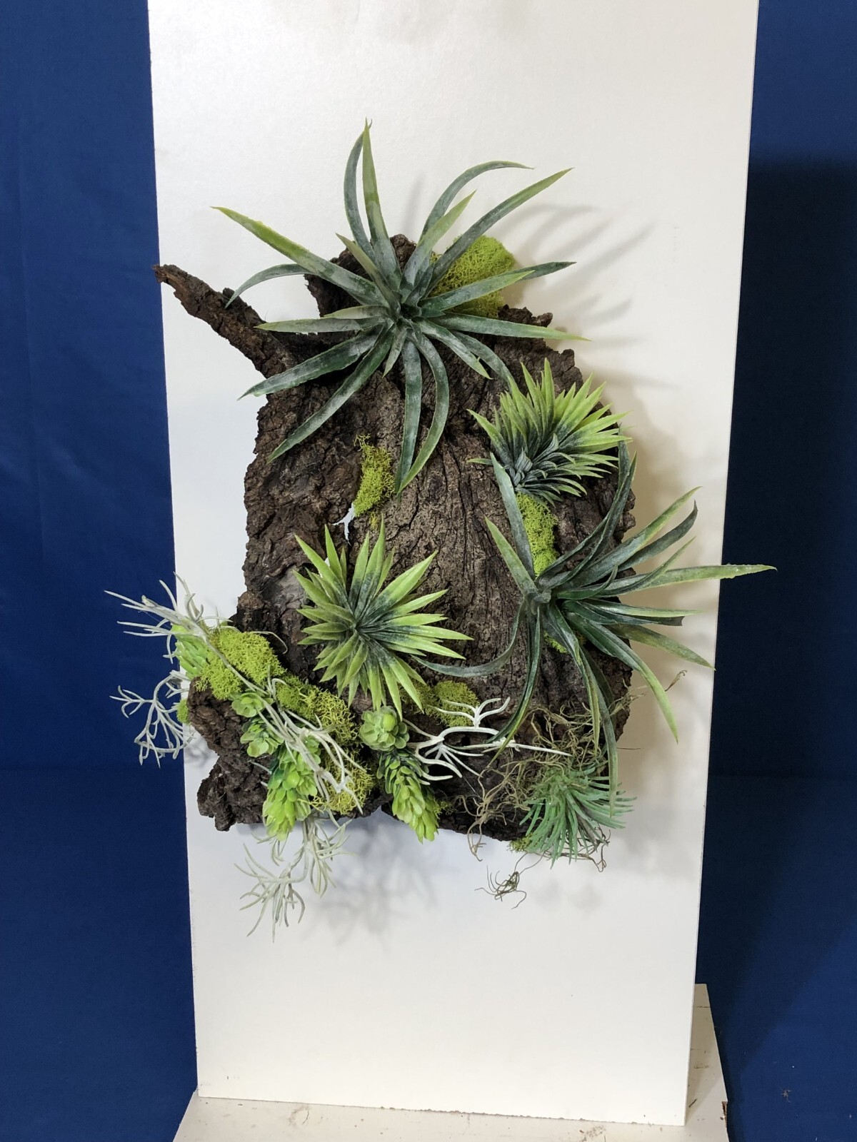 Artificial Succulent Air Plant Wall Art Home Office Mounted on Real Wood Bark