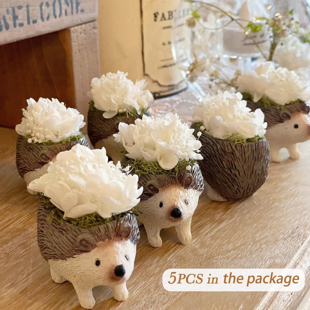 5 PCS Dried Preserved White Hydrangea Flowers – Length 14” Corolla Size 3”-