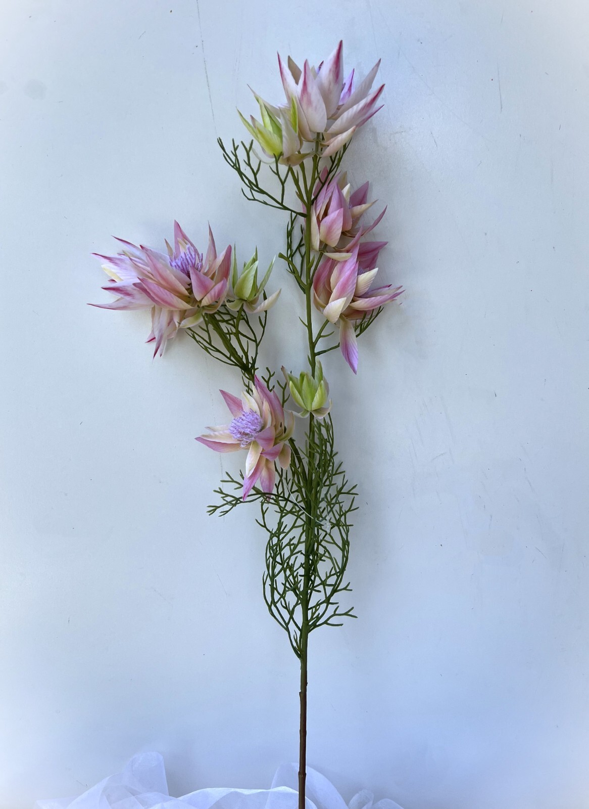 Australian Native Flowers Blushing Bride Flower Stem Pink Cream Faux Silk Stems