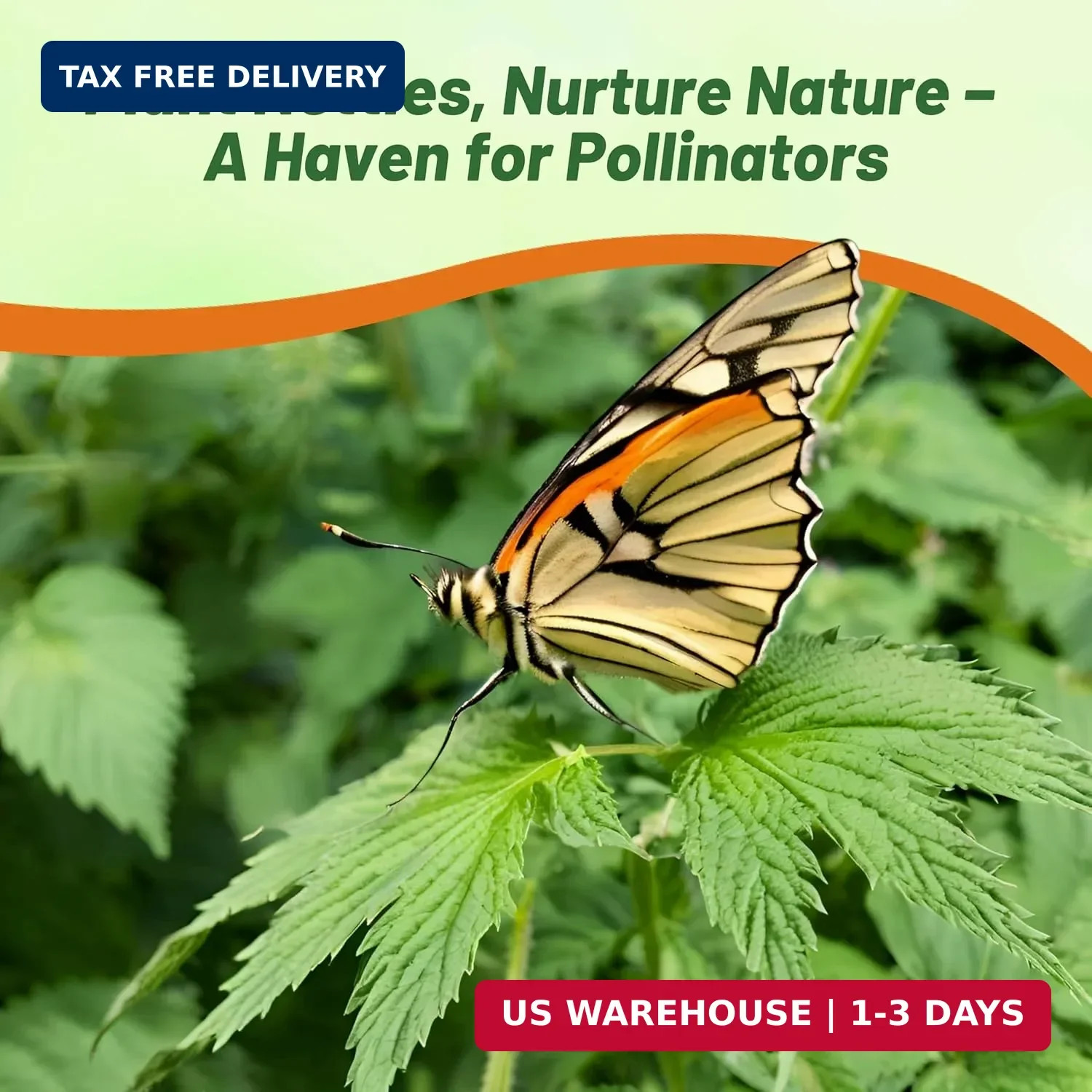 Outsidepride Stinging Nettle Seeds – 10000 Pcs Perennial and Low Maintenance Her