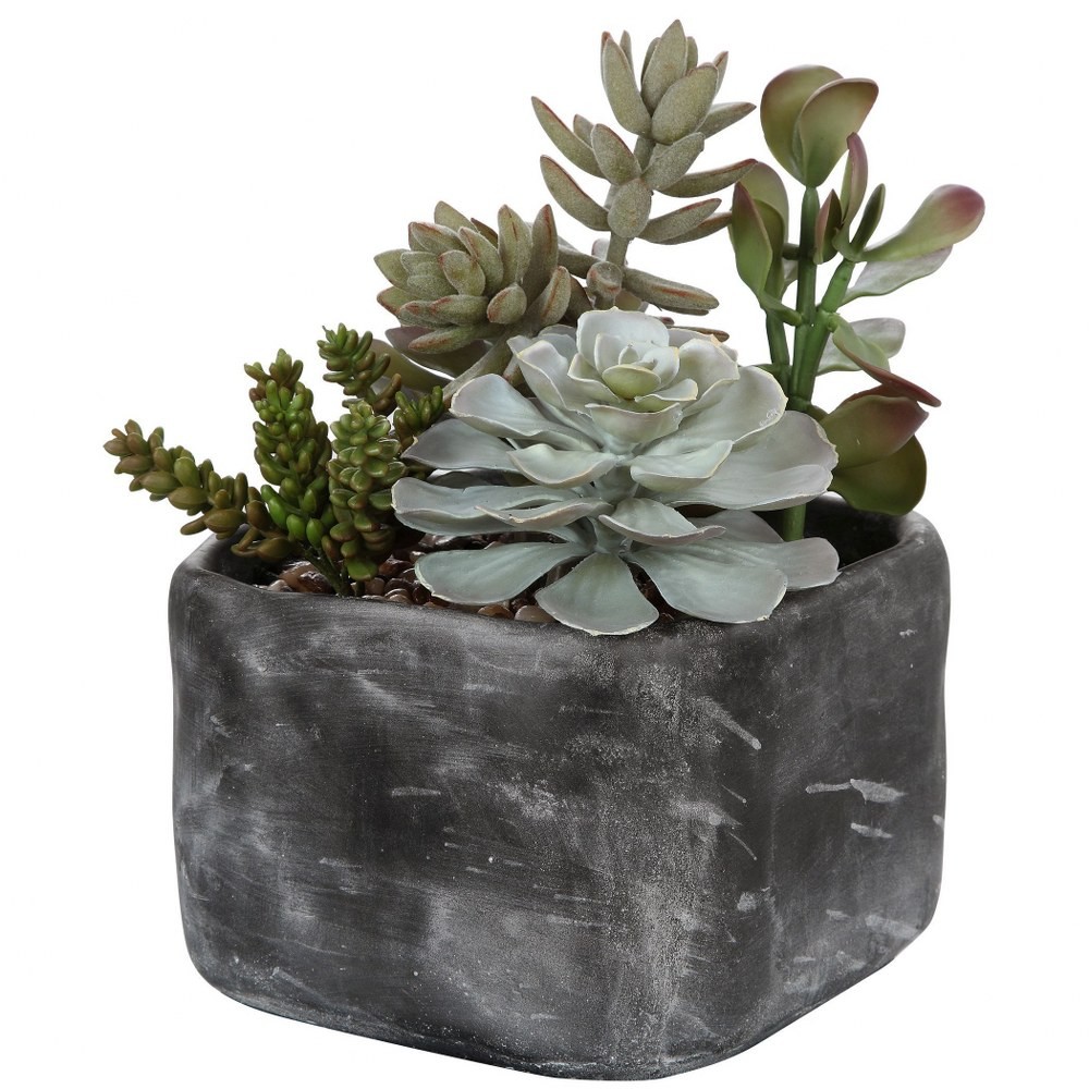 Alverio – 10 inch Desert Garden Succulents Accessories Uttermost 60173