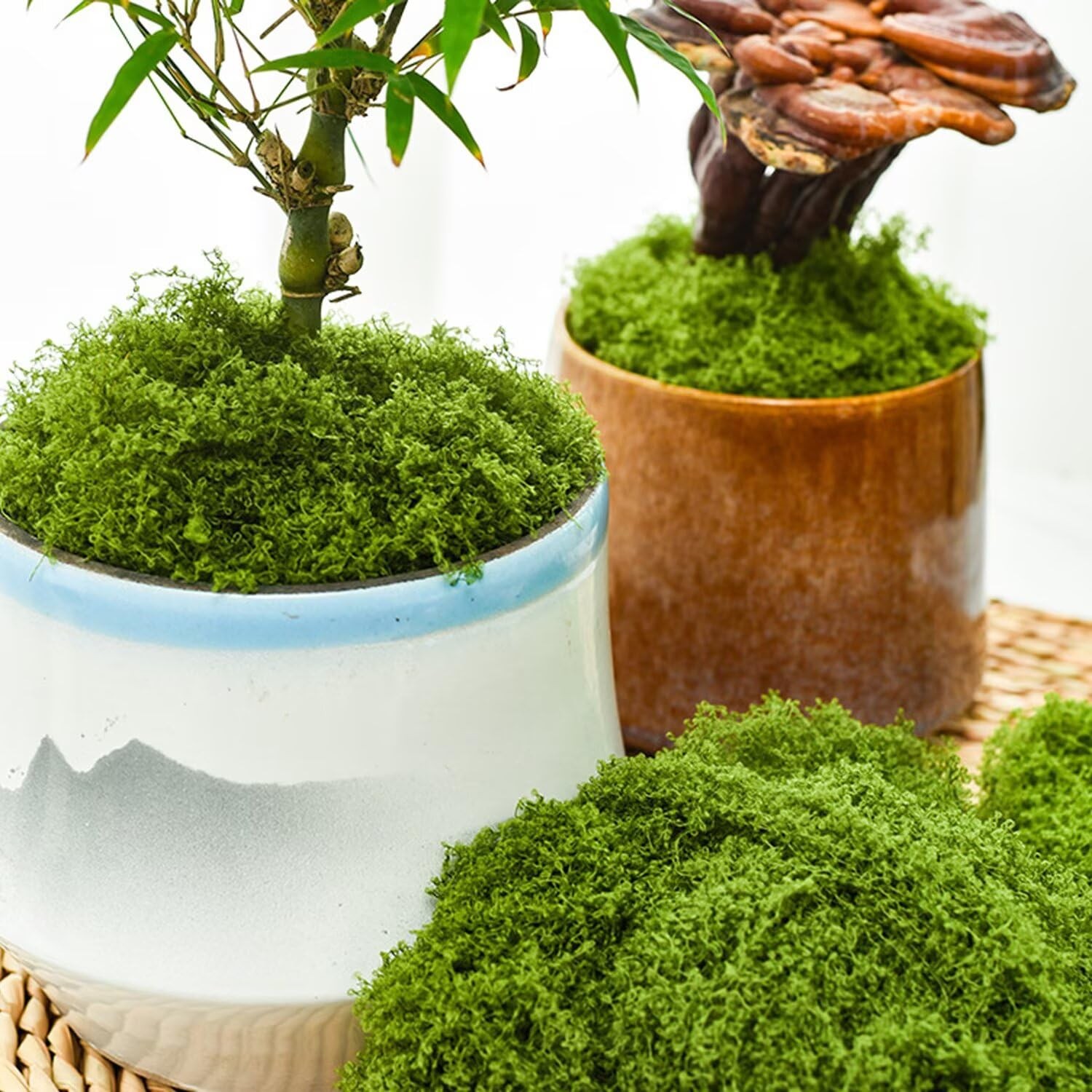 KEYUSHOP Fake Green Moss for Potted Plants 5.3 OZ Preserved Reindeer Moss Craft