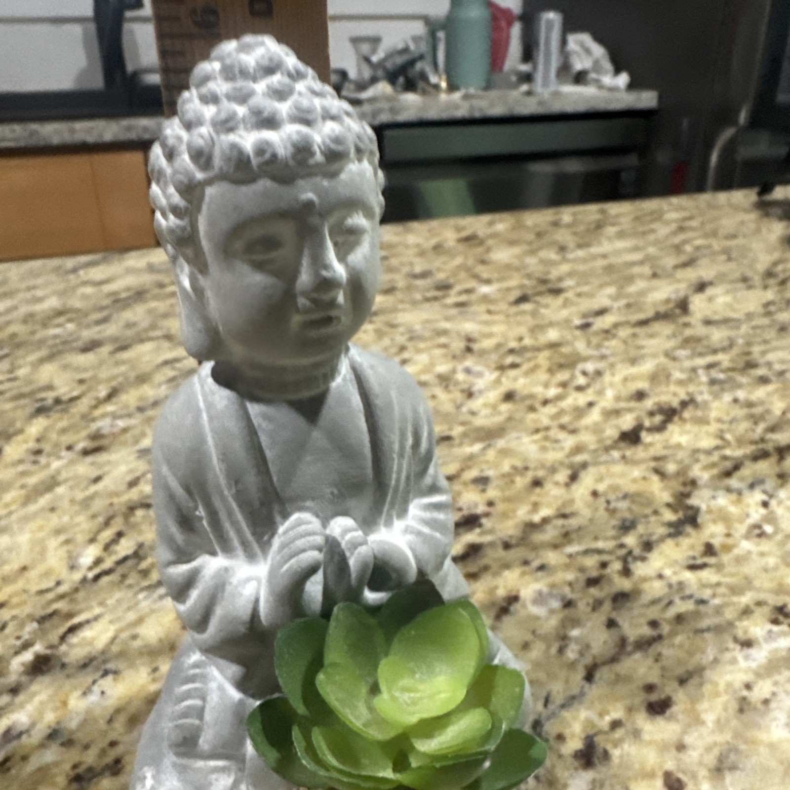 Budduah Plant Holder 6” Tall Succulent, Faux Plant Nice Cpix