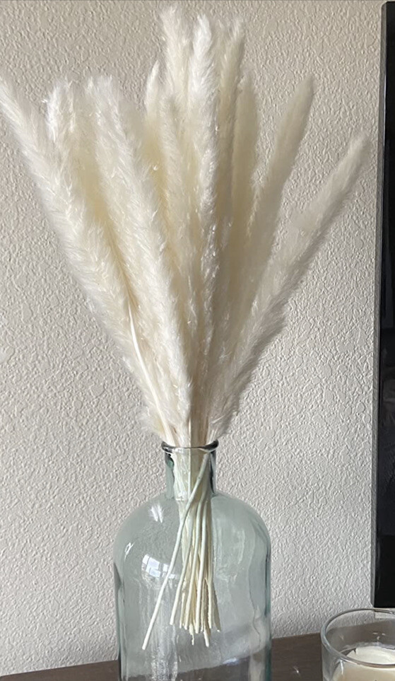 Belle Fleur Natural Dried Pampas Grass Reed Plume Dried Flower Stems Bouquet
