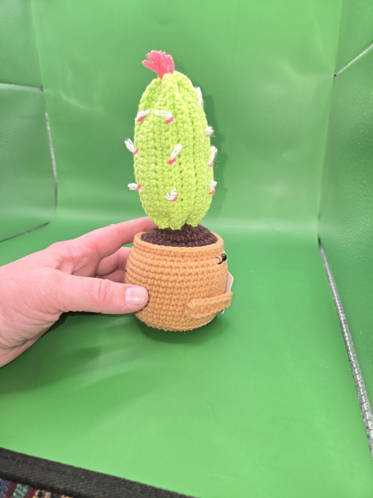Handmade Crochet Emotional Support Cactus Succulent Plant W/ Positive Message