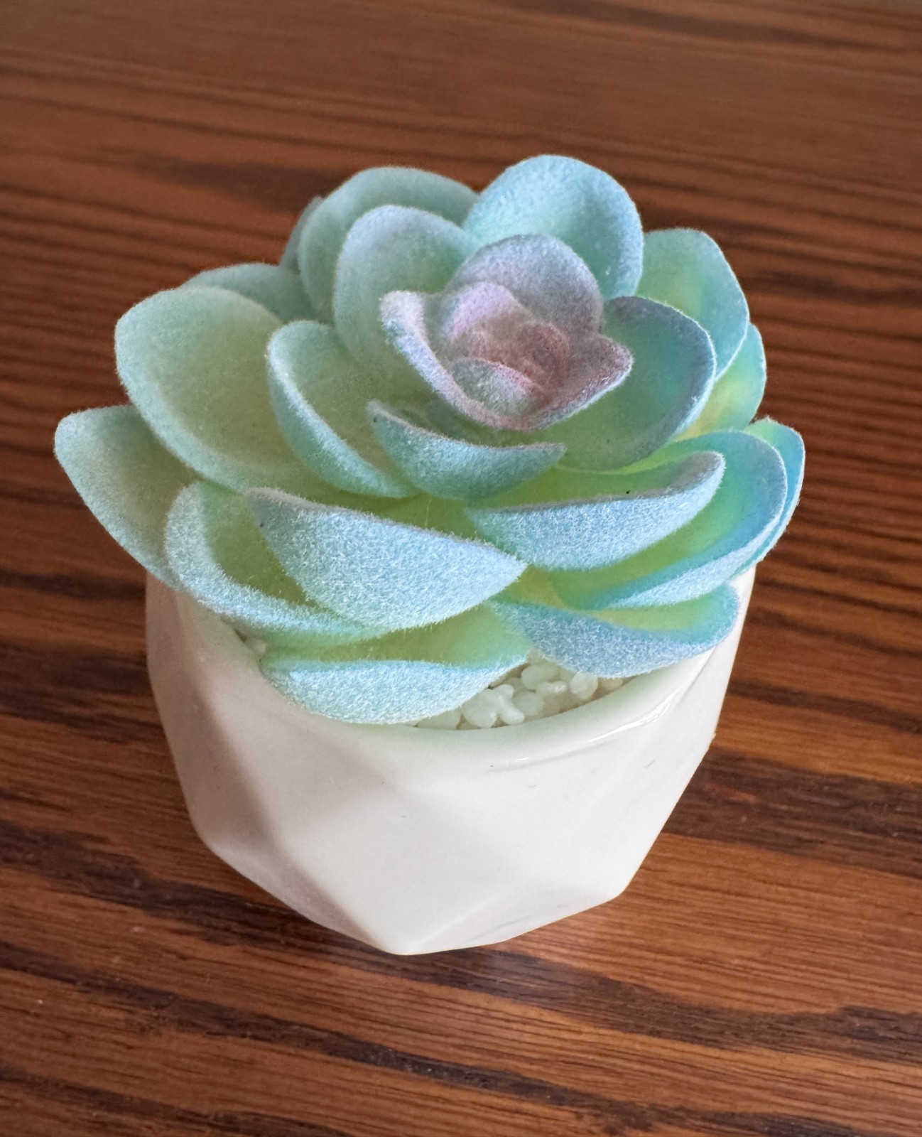 VIVERIE 4-Pack Mini Artificial Succulents ~ Blue Plants w/White Ceramic Pots NEW