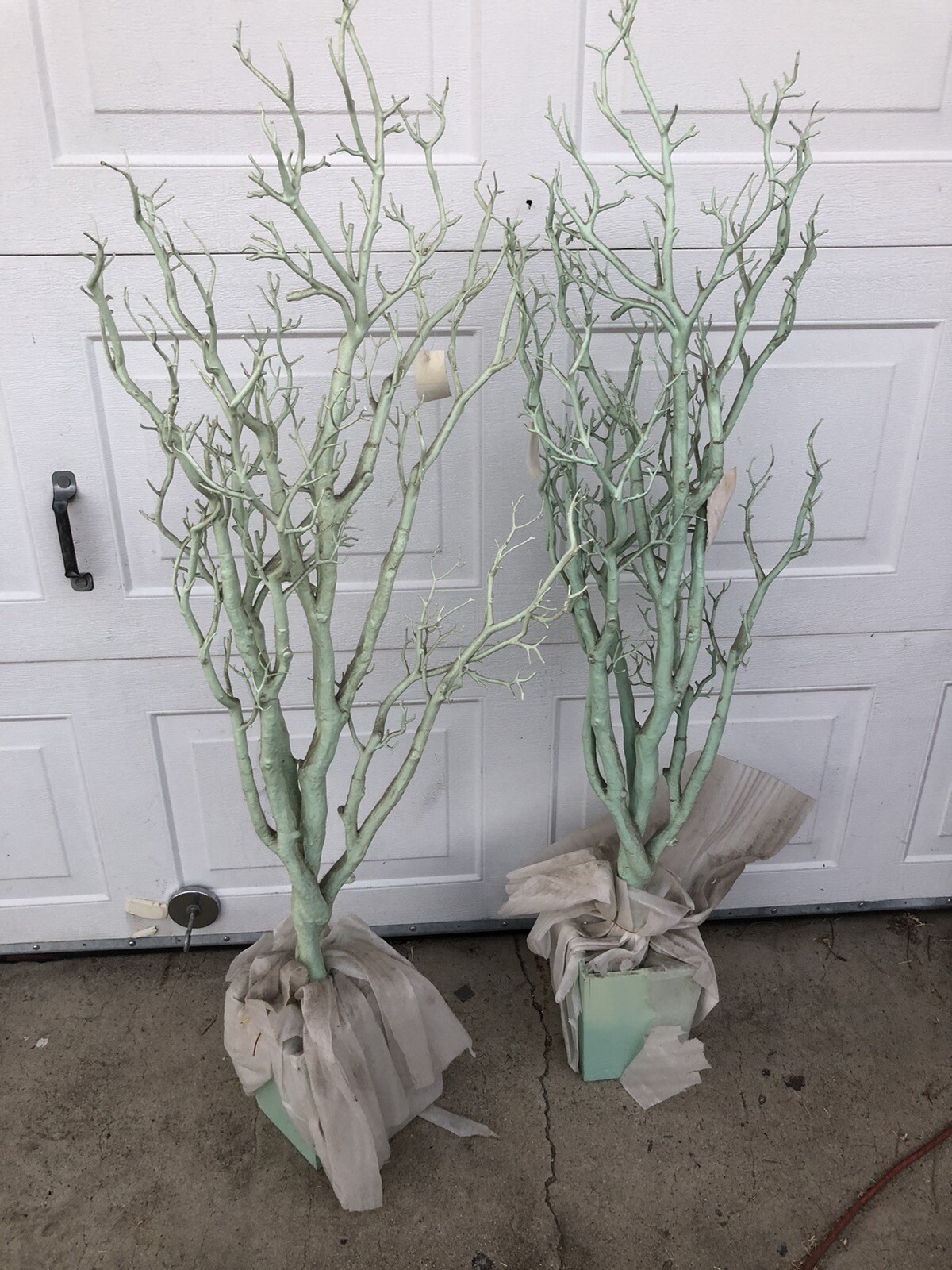 Manzanita Tree Centerpiece Lot Of Two