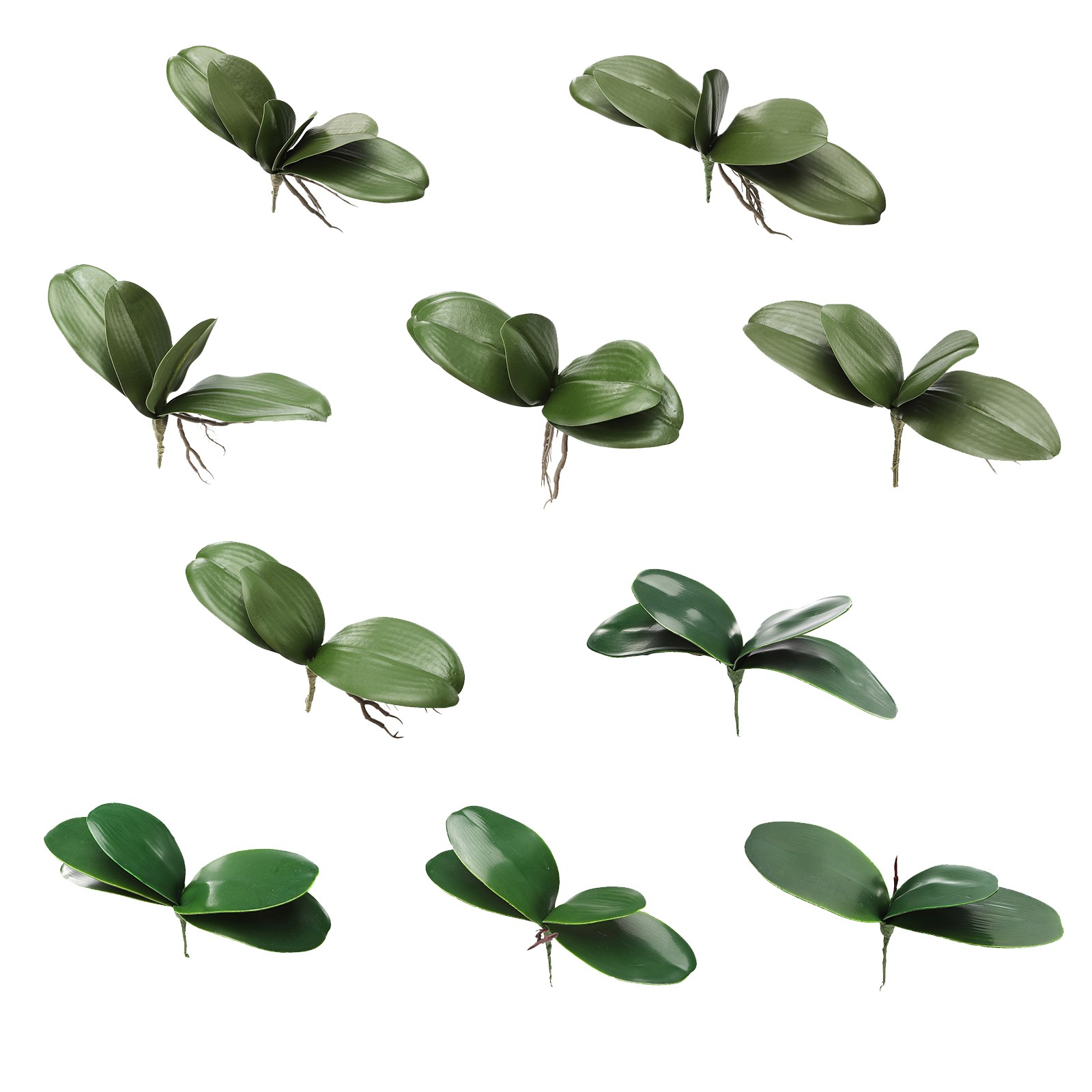 Eva Large 4 Pieces Of Phalaenopsis Leaves Orchid Leaves Wedding Home Decorati US