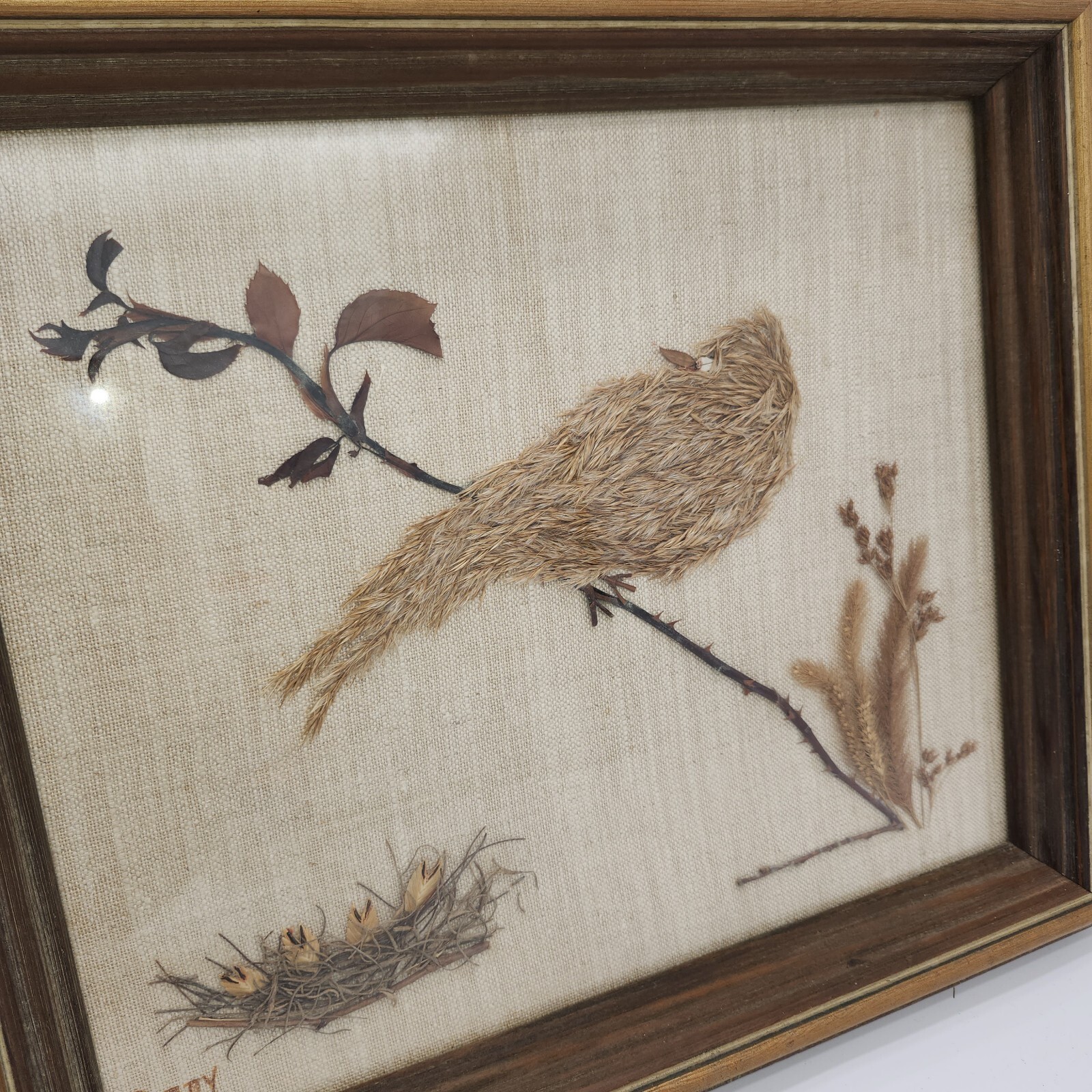 Vintage dried pressed flowers weeds taxidermy wall art bird 14 x 16 wood frame