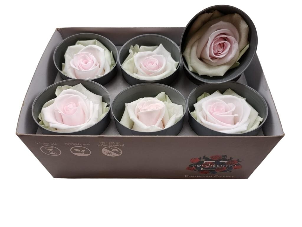 Preserved Ice Dry Tricolor Roses – Set of 6 Unique Decorative Flowers