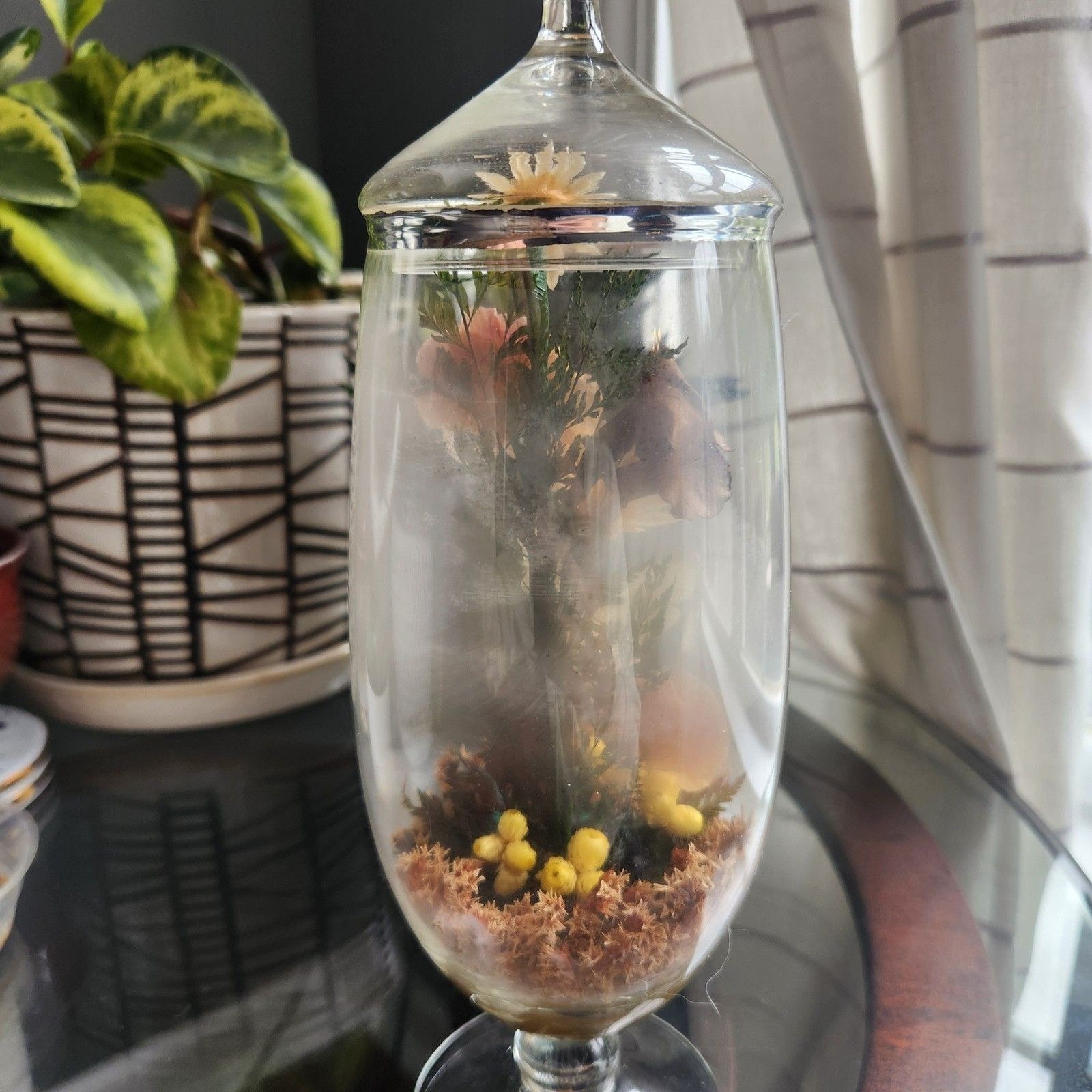 Vtg Apothecary Jar Sealed Butterfly Terrarium Floral Dried Flowers Cottagecore