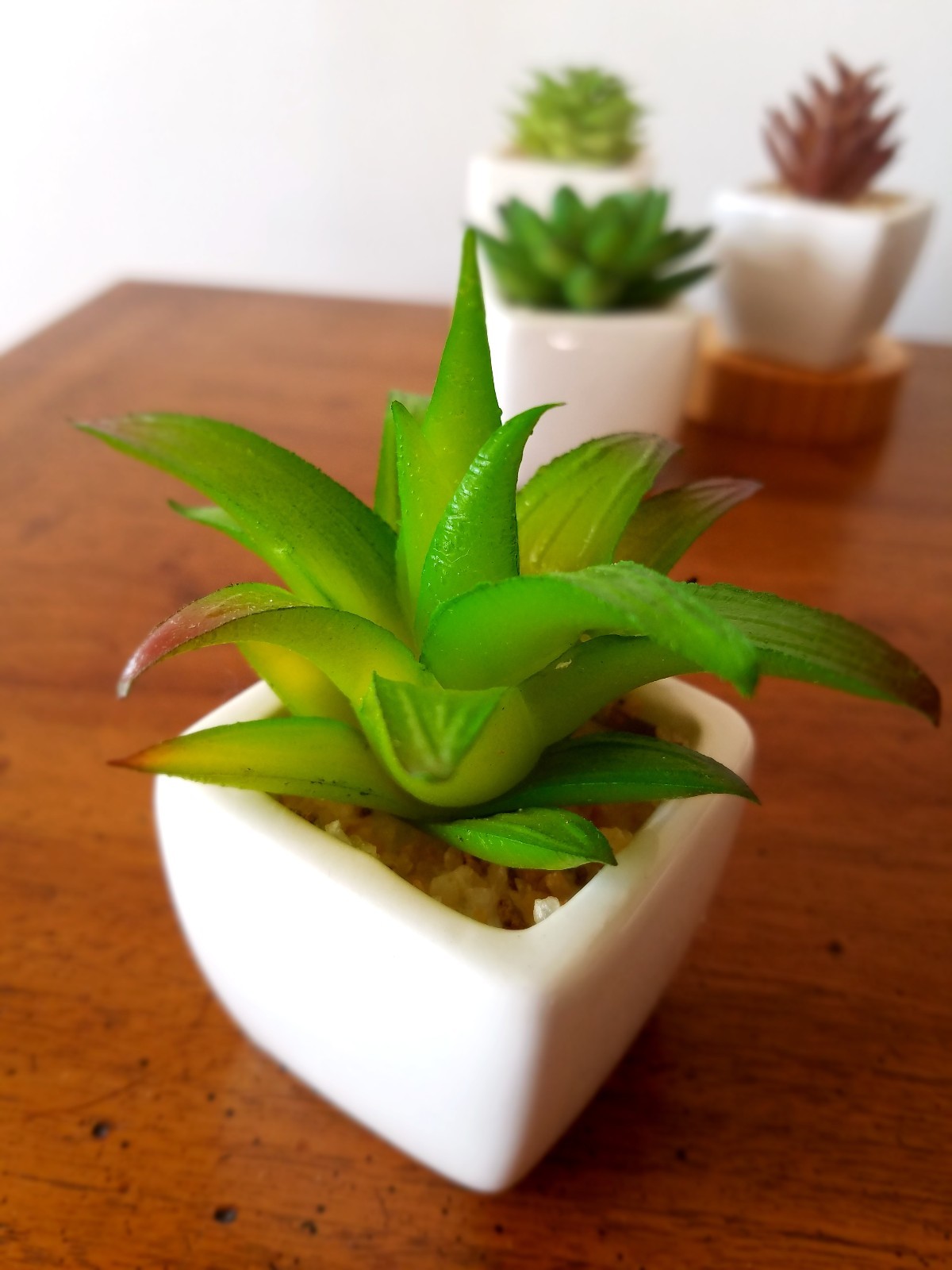 Party Favor Artificial Succulent Set in White Ceramic Pot Mini Plant Home Decor