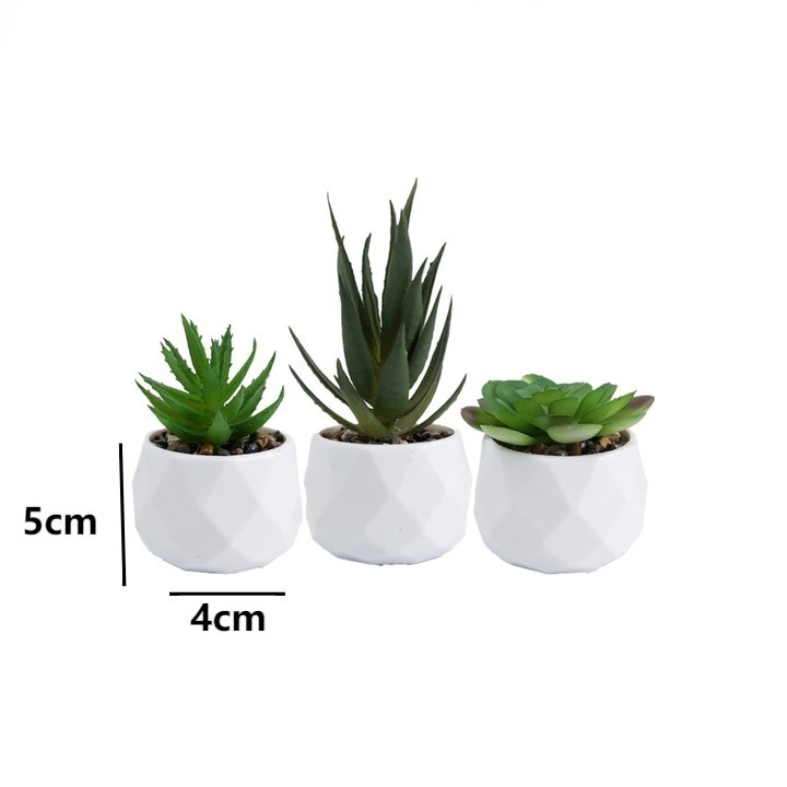 3pcs Elegant Artificial Succulent Plants for For home and Office Display