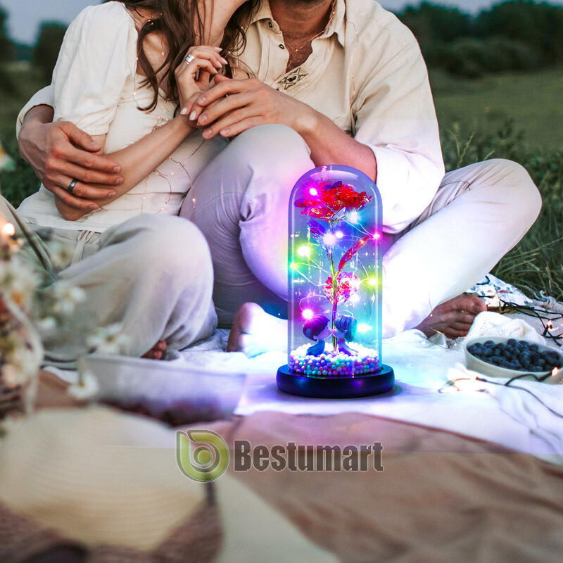 Eternal Forever Romantic Rose Flower In Glass Dome LED Light Mother’s Day Gift