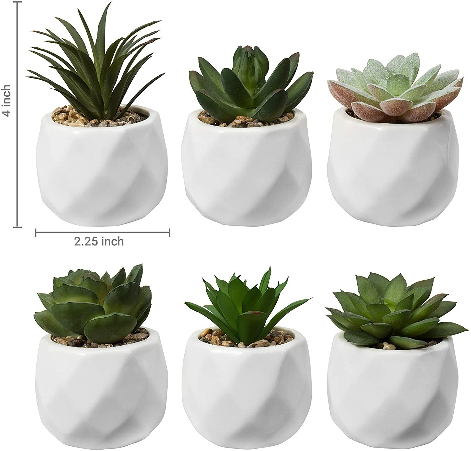Mini Assorted Artificial Succulents in White Geometric Ceramic Pots, Set of 6