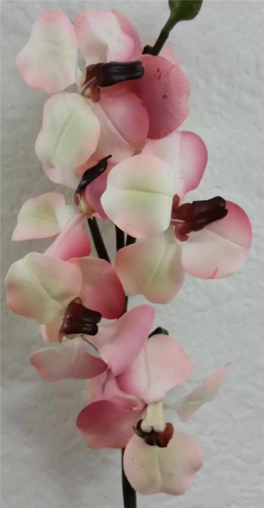 Butterfly Orchid Stems Choose Color