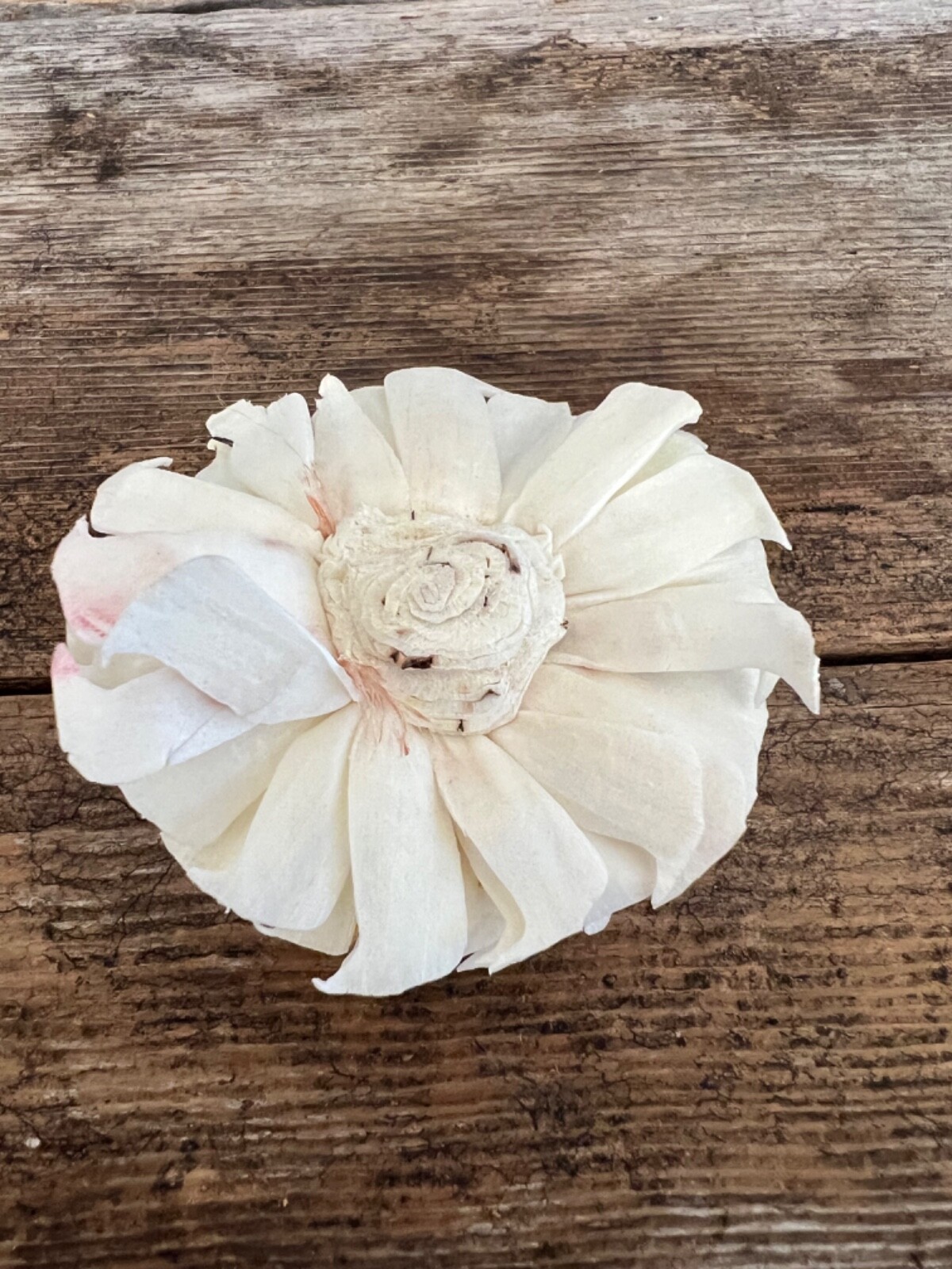 Chorki Belly Sola Wood Flowers – Set of 50 – Craft Flowers