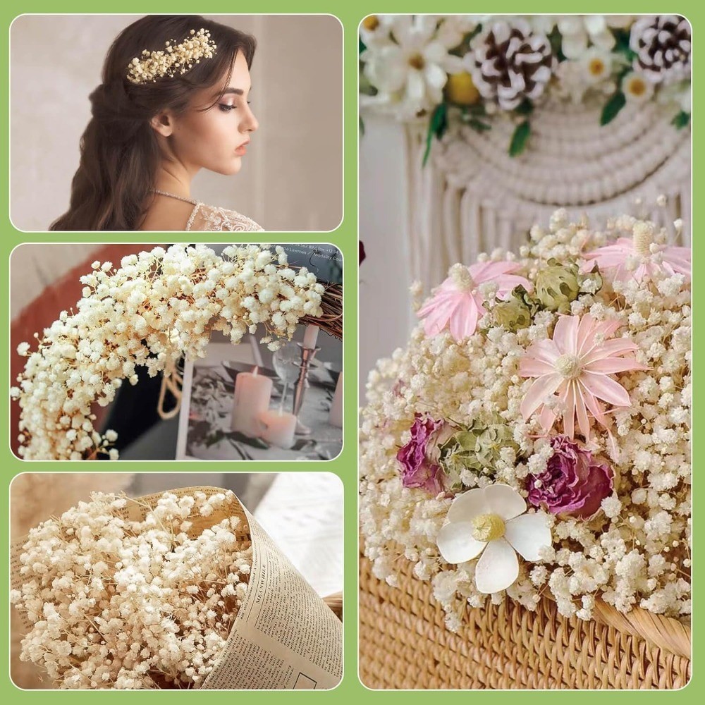 Dried Baby’s Breath Bulk 17 Ivory White Gypsophila Bouquet Natural Floral