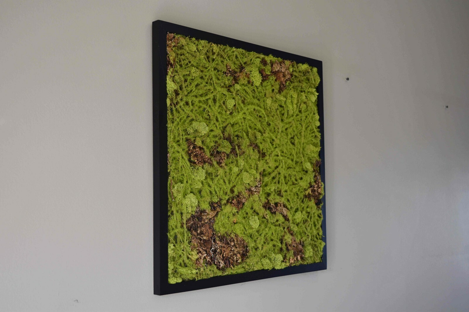 21*21″ Mixed Moss square wall decor,black frame,natural moss, faux sphagnum moss