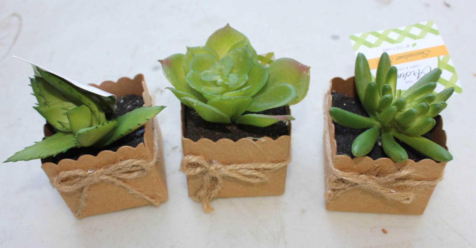 Set of 3 3″ Mini Artificial Succulent Plants in Square Paper 2″x2″ Pots Gift