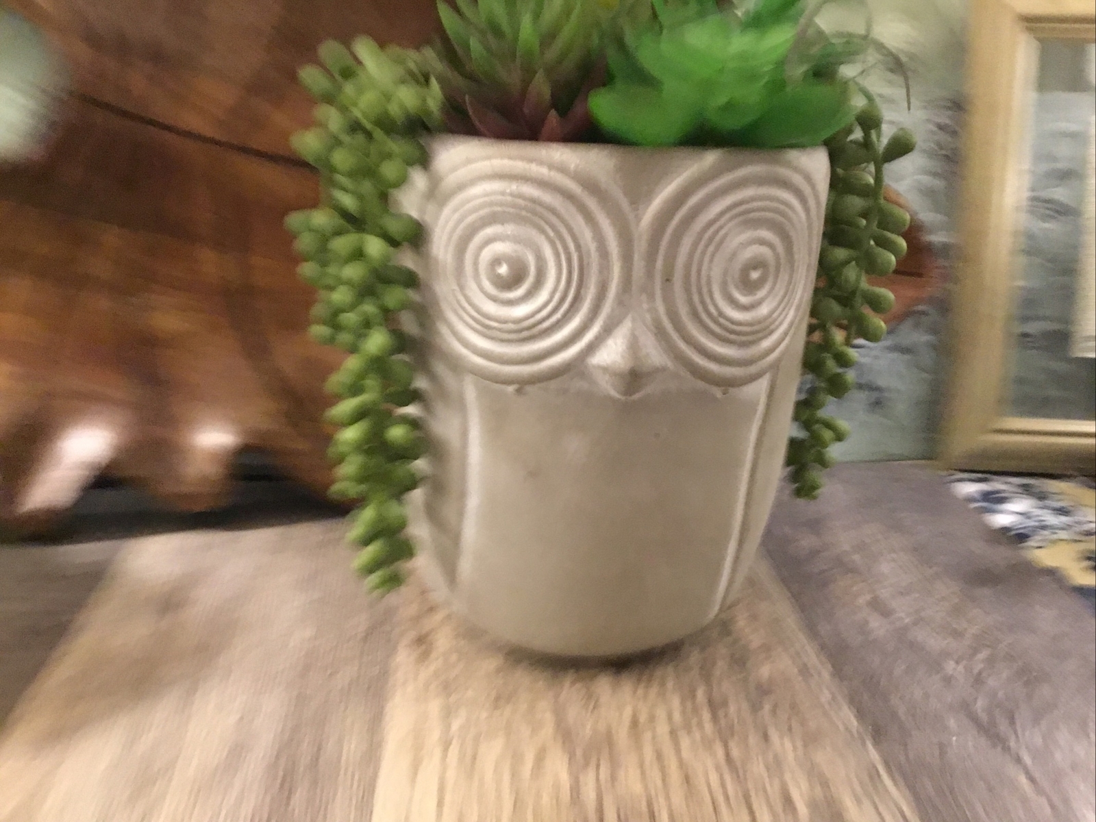 Owl large pot with faux succulents 6 1/2” High Bohemian Mod Owl Lovers Gift