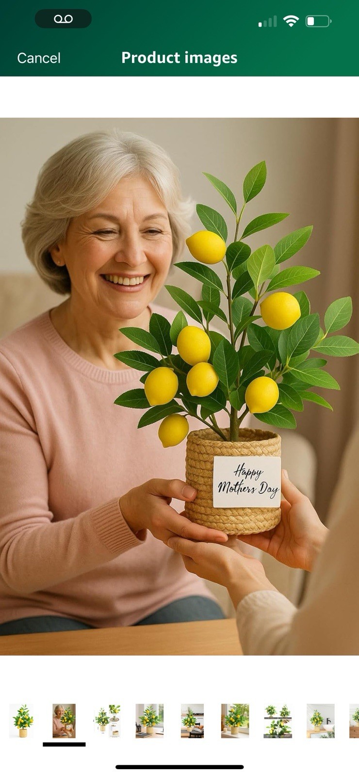 Lemon Tree/ Home Decor