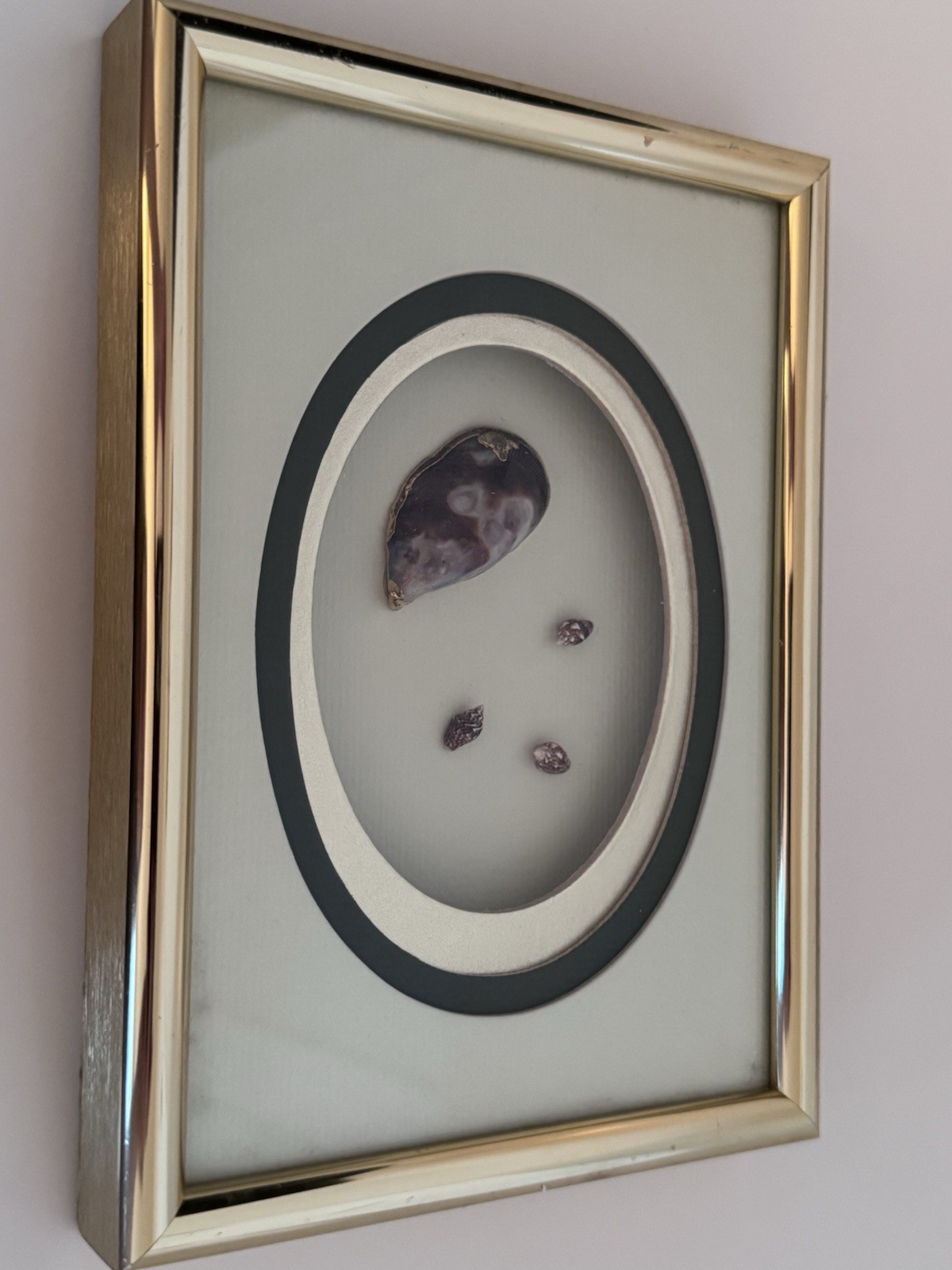 Vintage M&R Original Framed Shell Art Shadow Box Skokie IL Mid Century Coastal