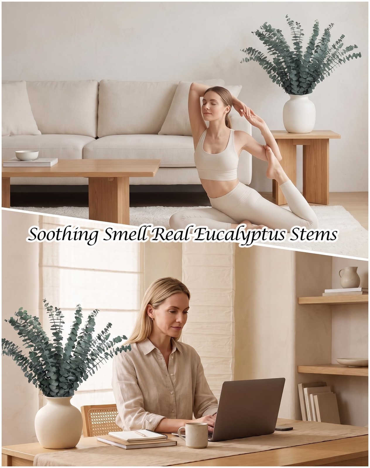 48 Pcs Large Dried Eucalyptus Stems – Natural Eucalyptus Branches for Shower …