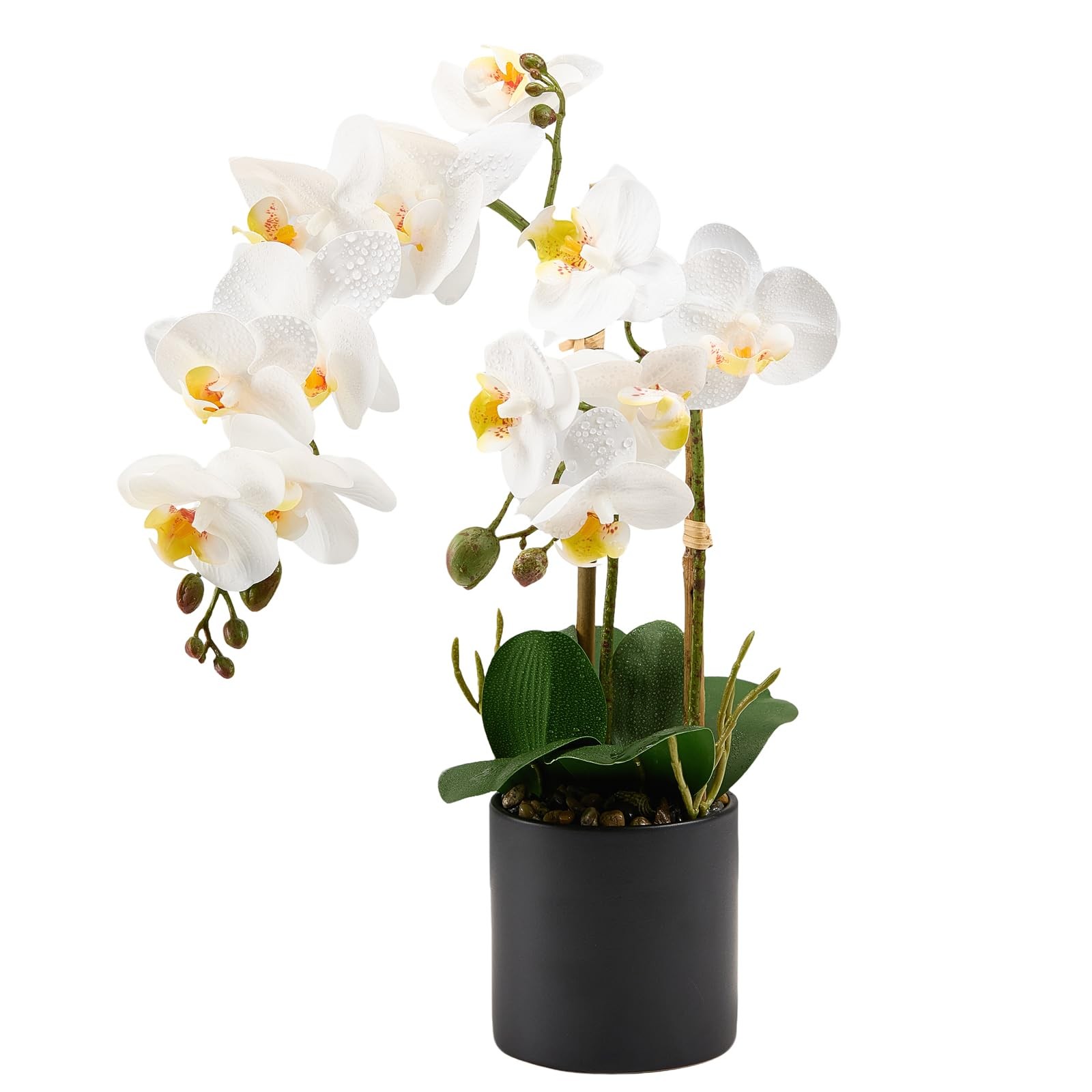 17″ Artificial White Phalaenopsis Orchid in Modern Black Ceramic Pot – Realis…