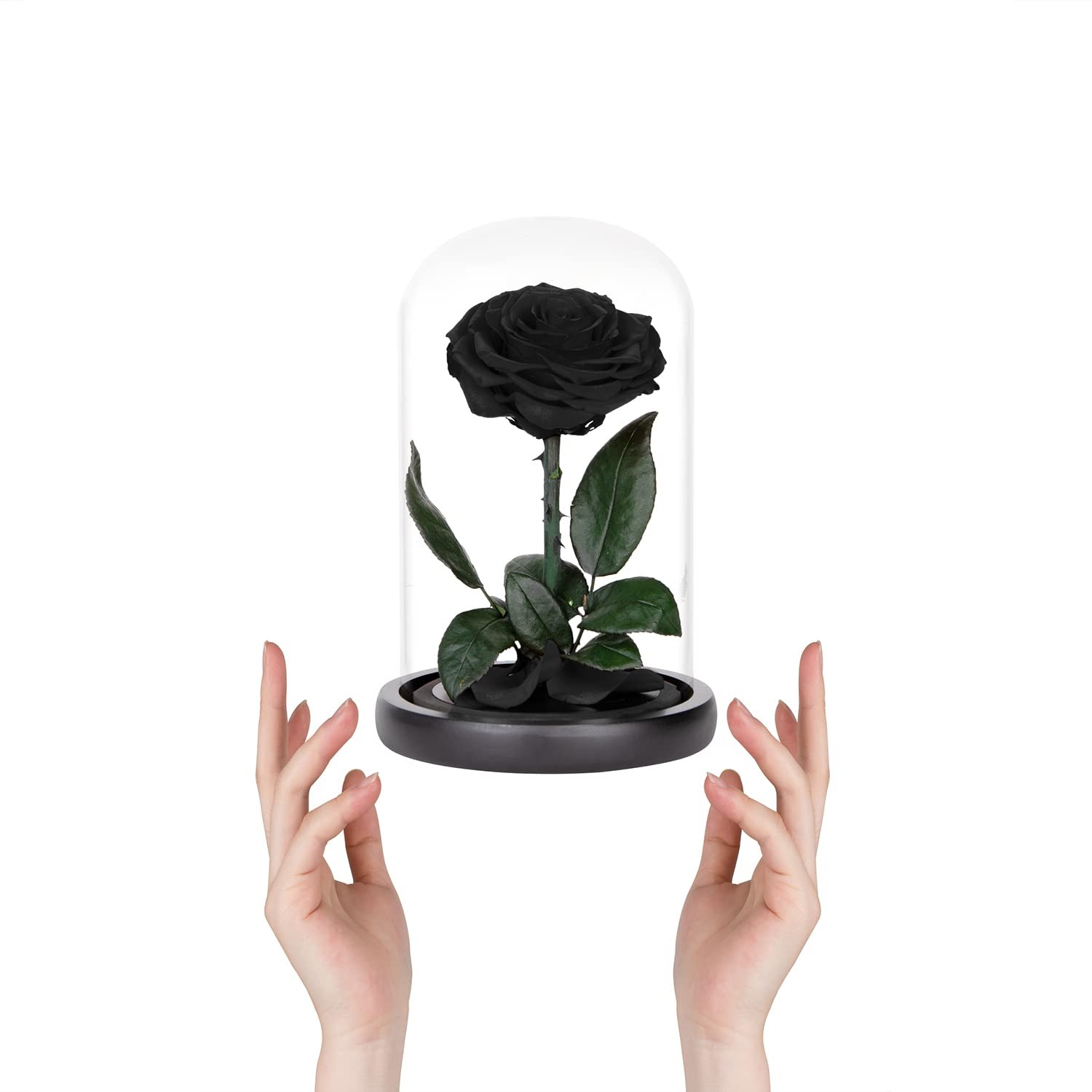 Preserved Roses Black Roses in Glass Dome, Medium, Preserved Flowers