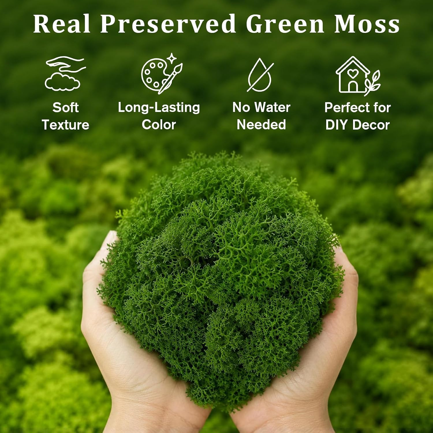 Preserved Reindeer Moss Natural Dark Green, 1.1 LB Real Moss for DIY Crafts, Mos