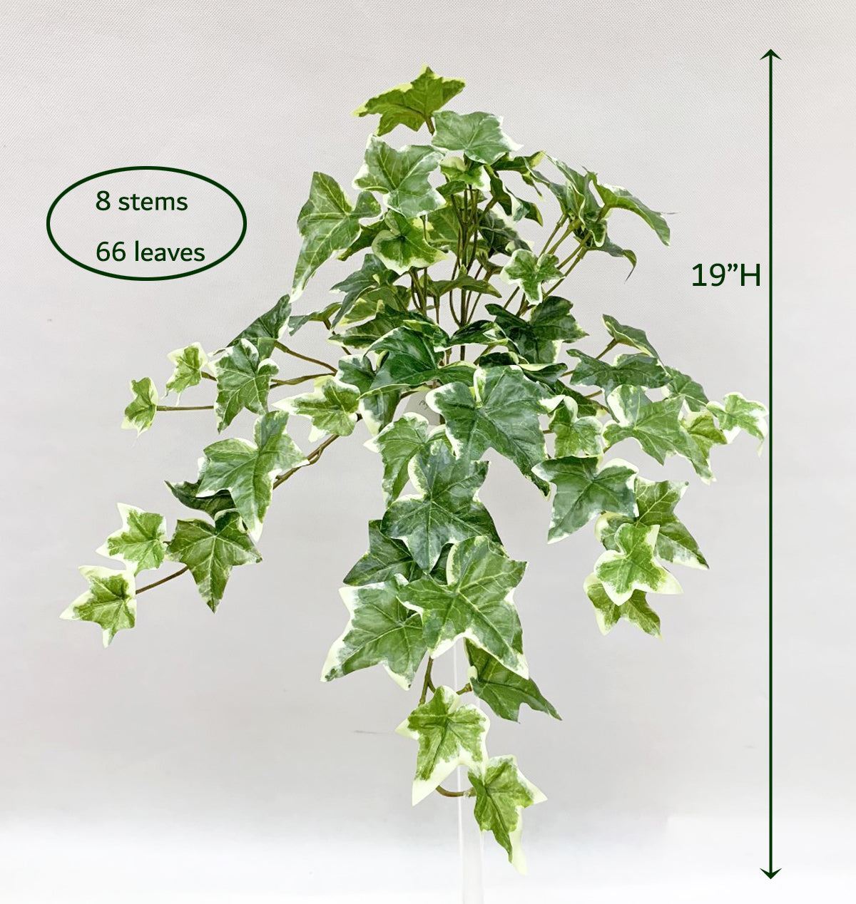 VARI. Green Real Touch Sage Ivy Hanging Bush , 19″ H, with 66 Leaves, 8 Stems