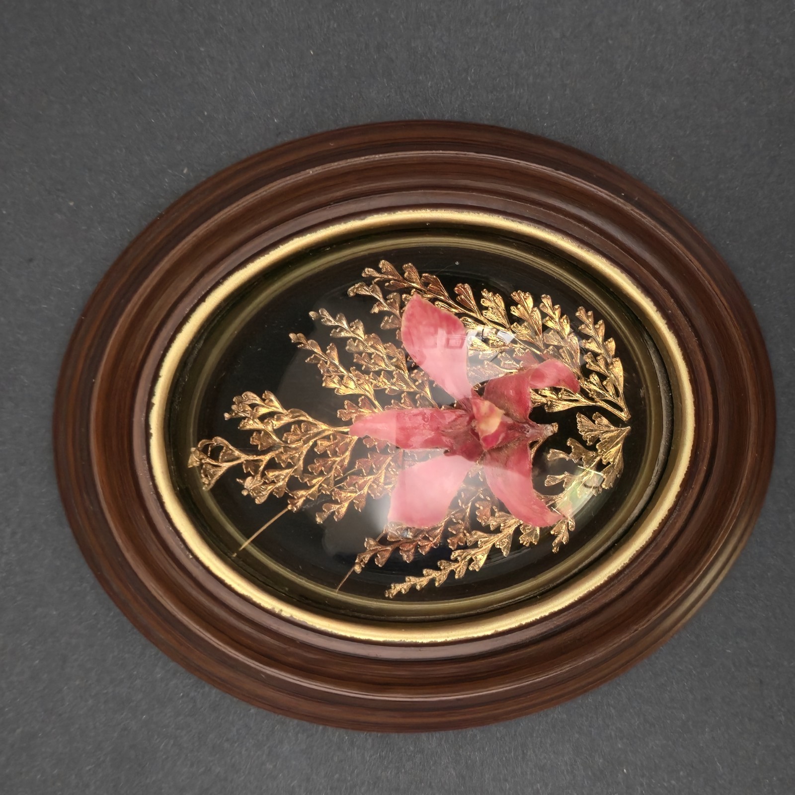 Vintage Orchid Flora Hawaiian Preserved 24K Gold Pink Fern Framed Dome 6″X5″