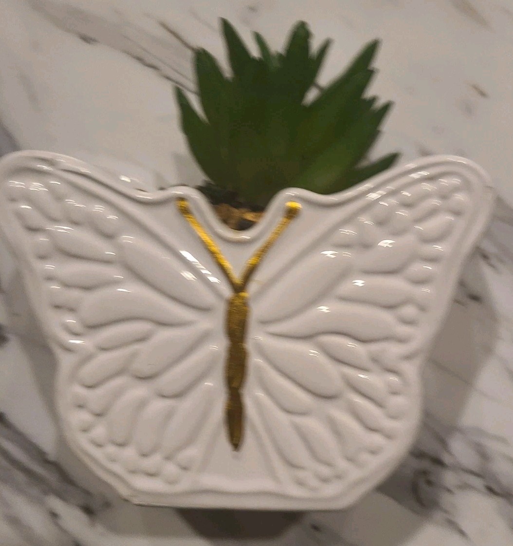 1 Pc Butterfly Planter Faux Succulent Gift (Some Chipping Wear)