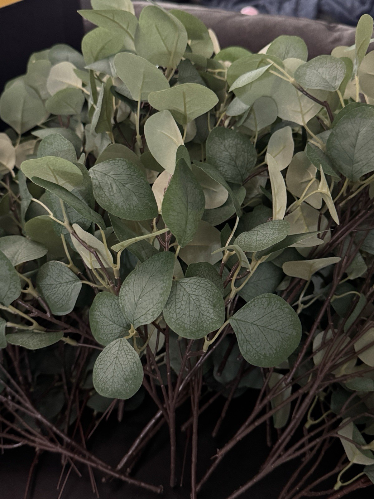65 Stem Silk Faux Eucalyptus Silver Dollar Greenery Filler