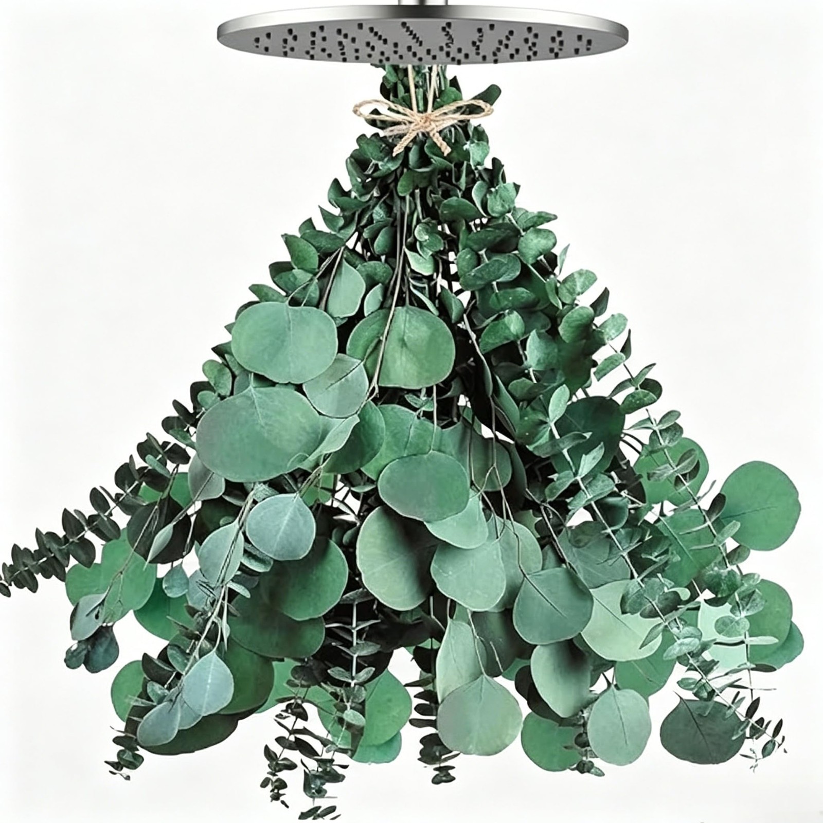 Preserved Dried Eucalyptus & Silver Dollar Seeded Shower Hanging Greenery